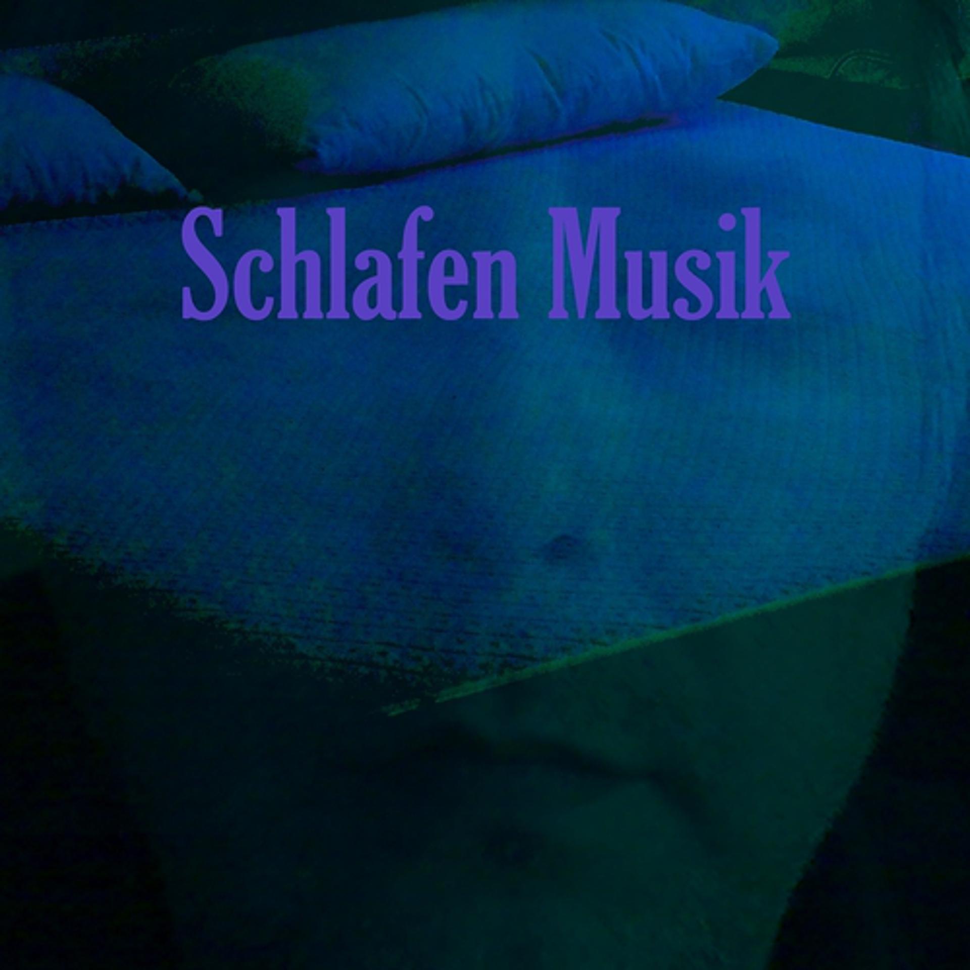 Постер альбома Schlafen musik