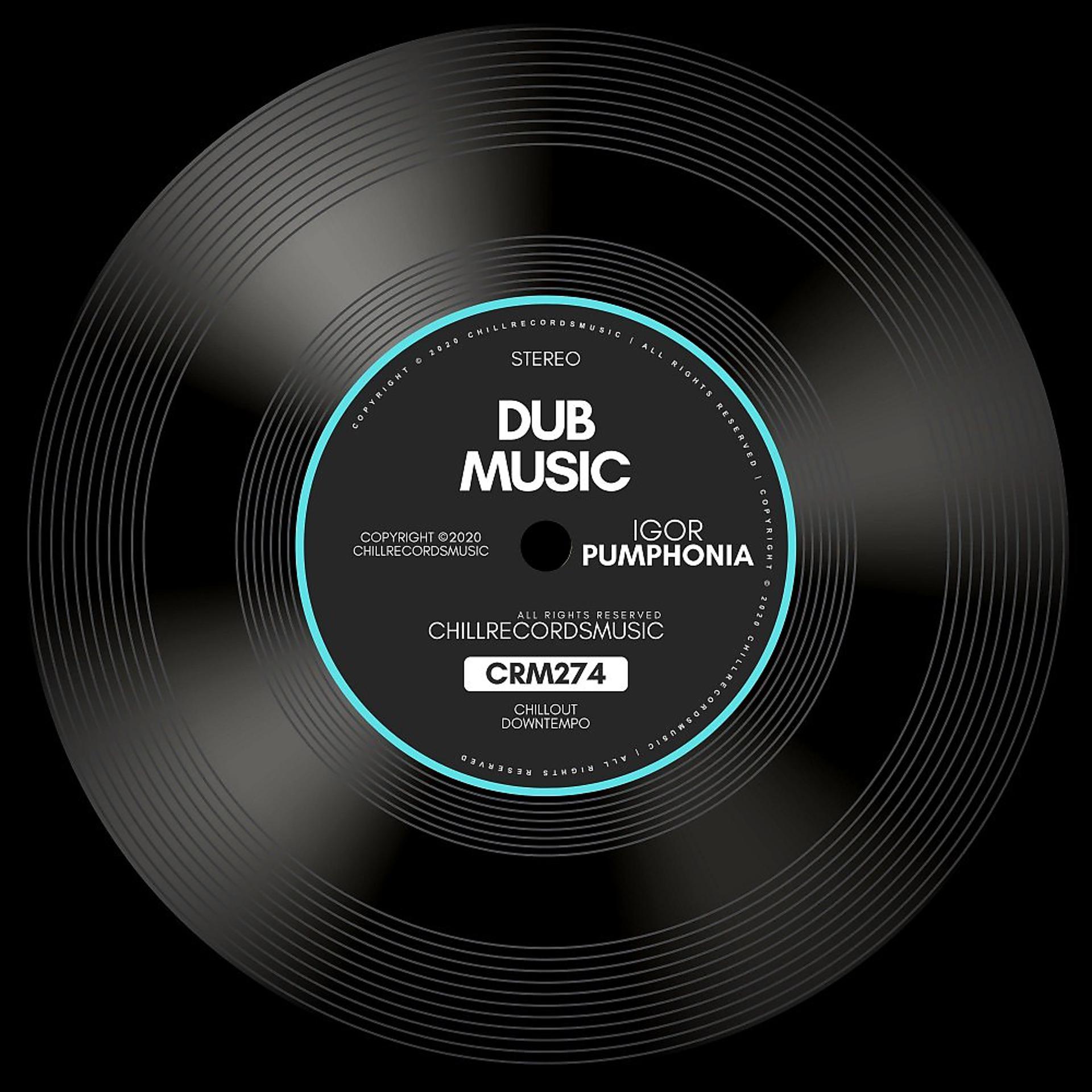 Постер альбома Dub Music