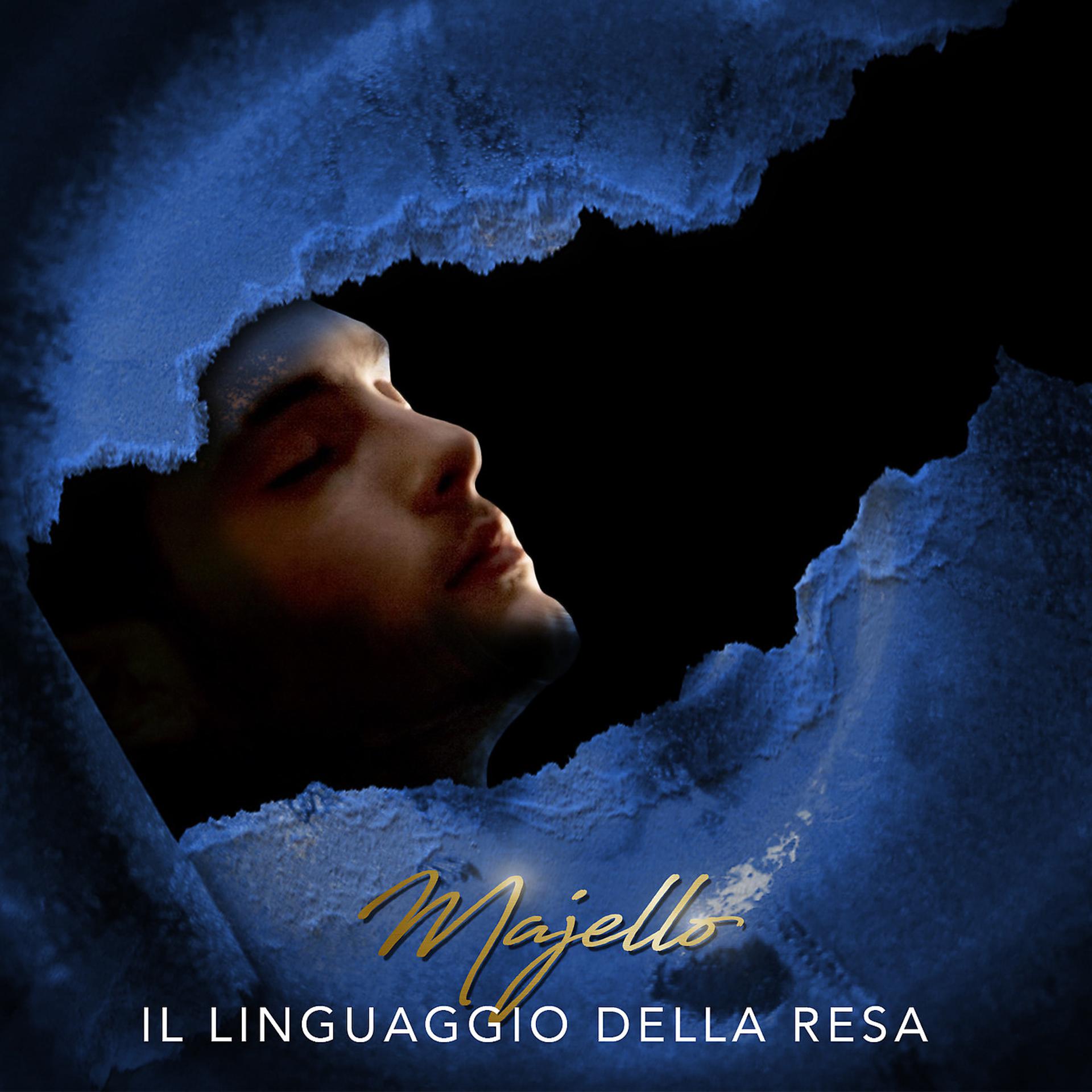 Постер альбома Il linguaggio della resa