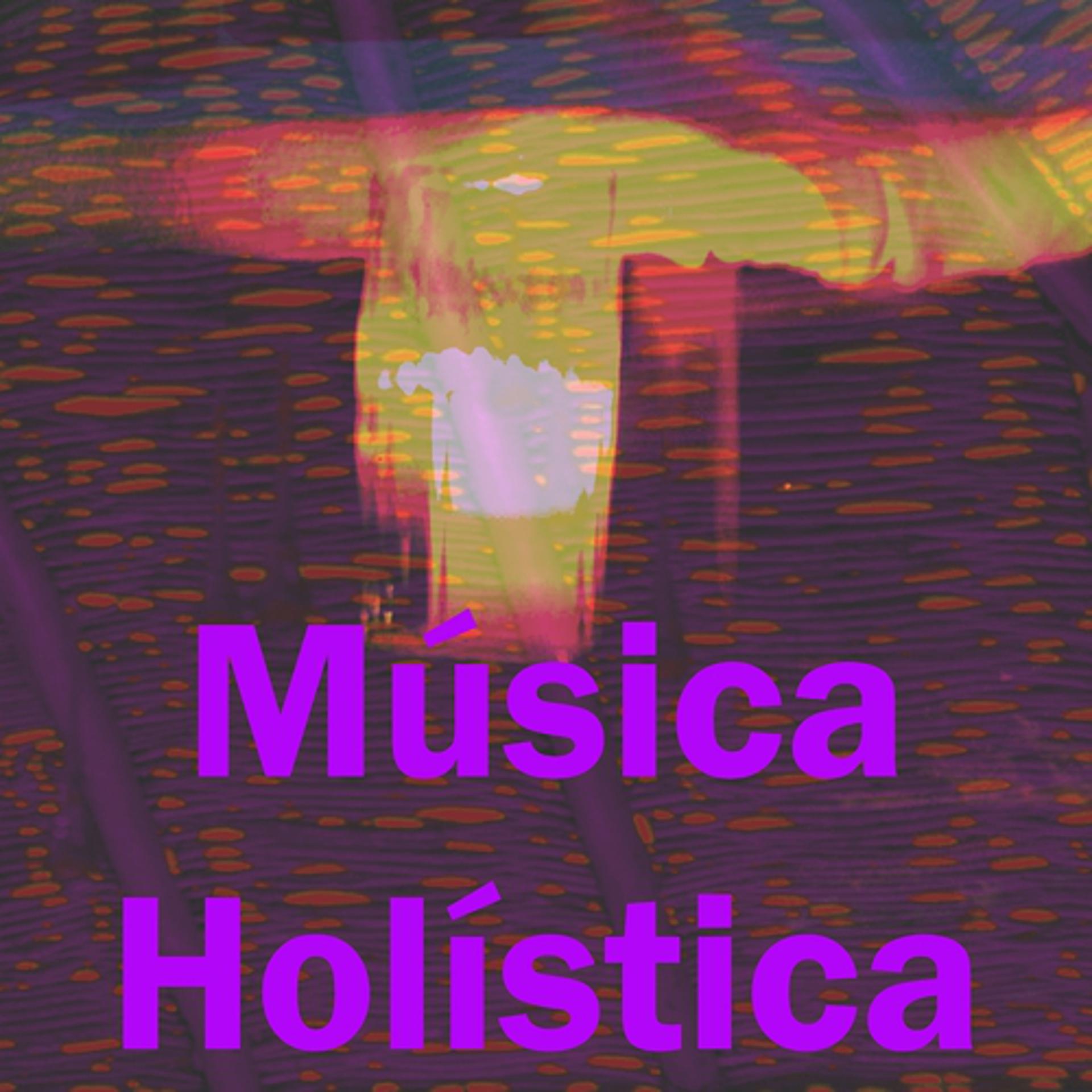 Постер альбома Música Holística