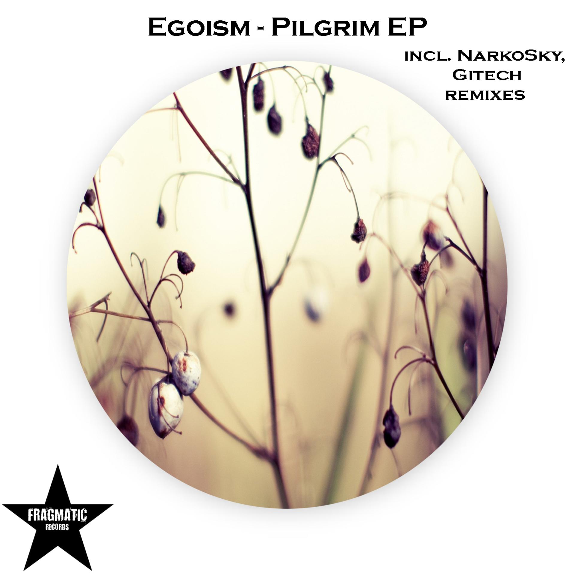 Постер альбома Pilgrim EP