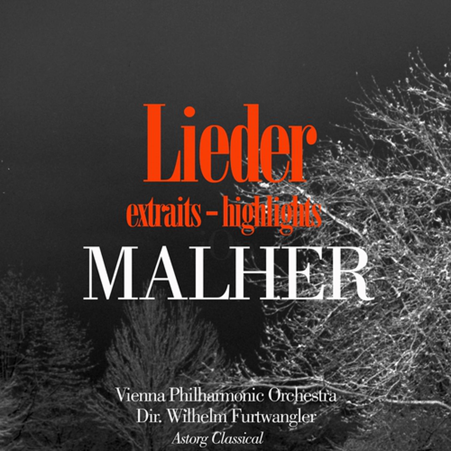 Постер альбома Malher : Lieder