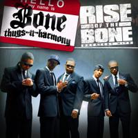 Постер альбома Rise Of The Bone (Greatest Hits)