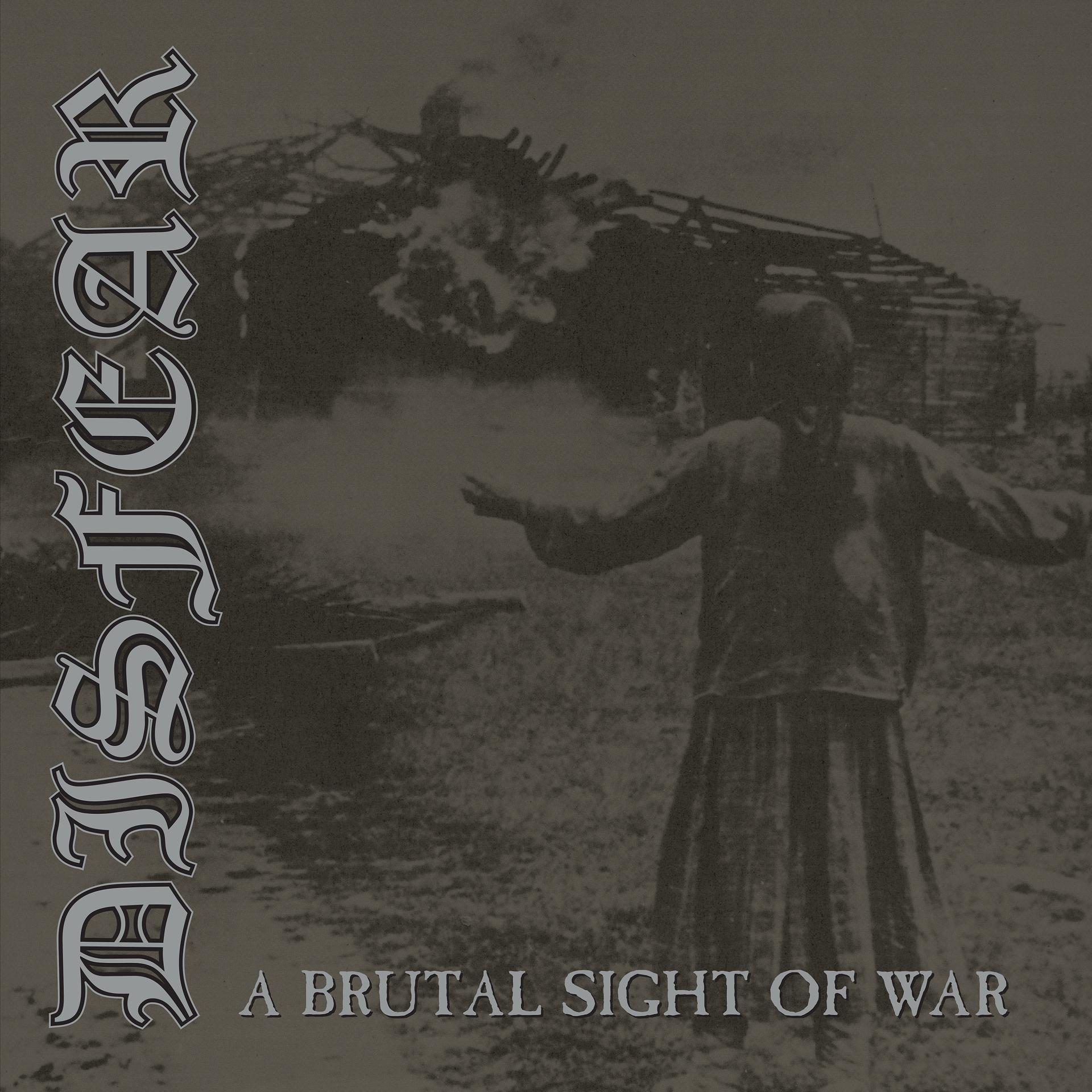 Постер альбома A Brutal Sight of War