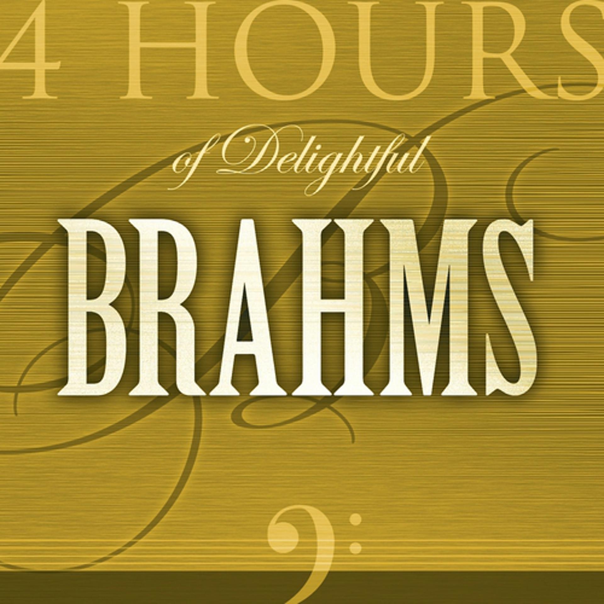 Постер альбома 4 Hours of Delightful J. Brahms