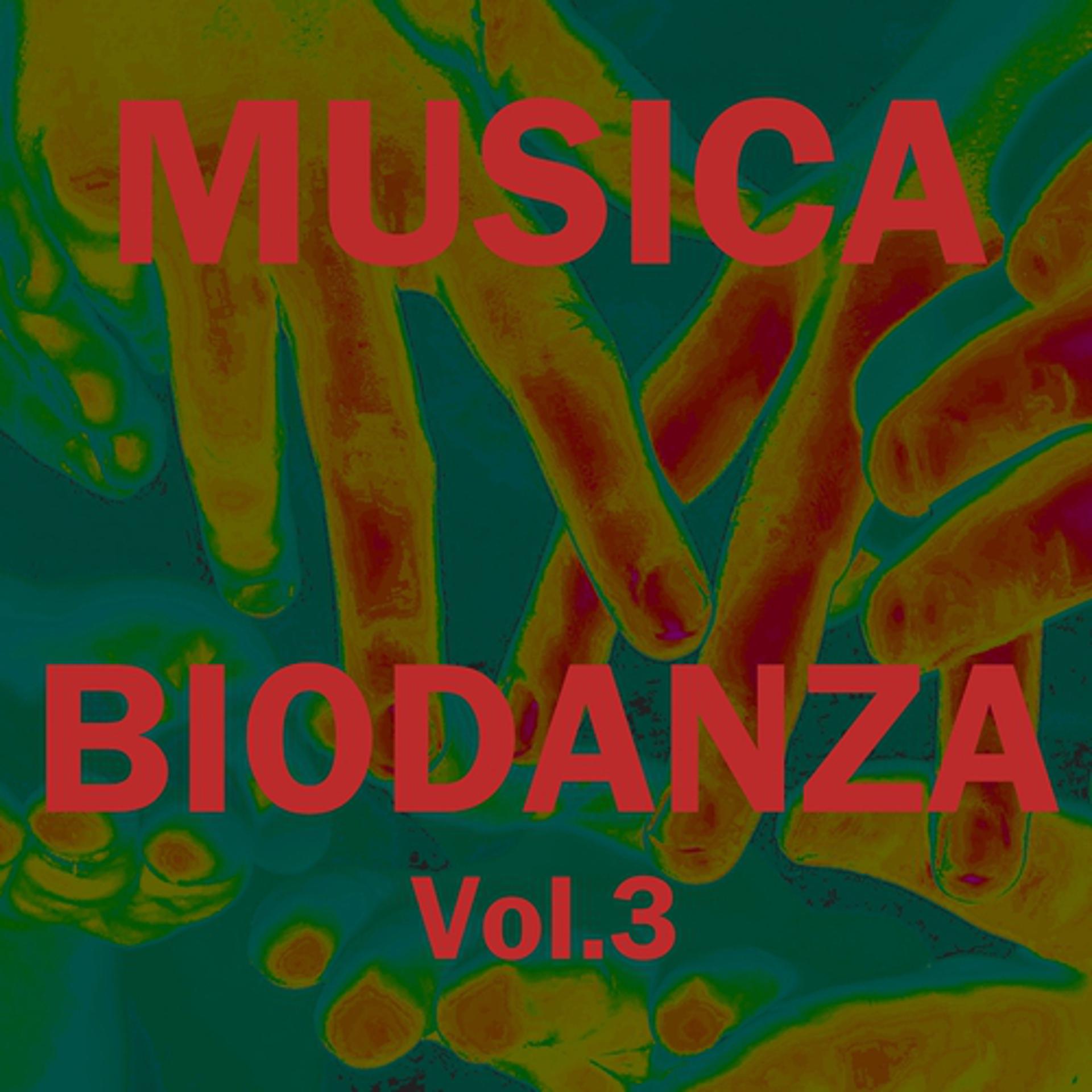 Постер альбома Musica biodanza, vol. 3