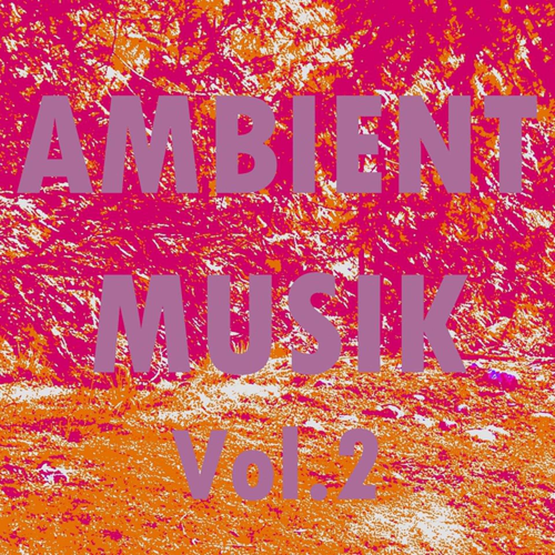 Постер альбома Ambient musik, vol. 2