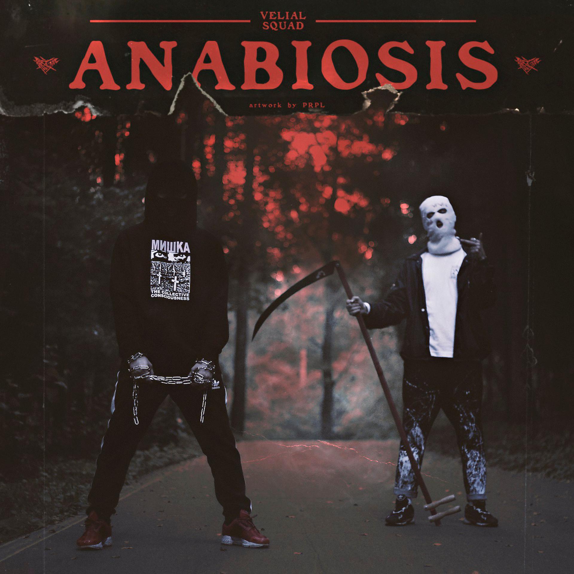 Постер альбома Anabiosis