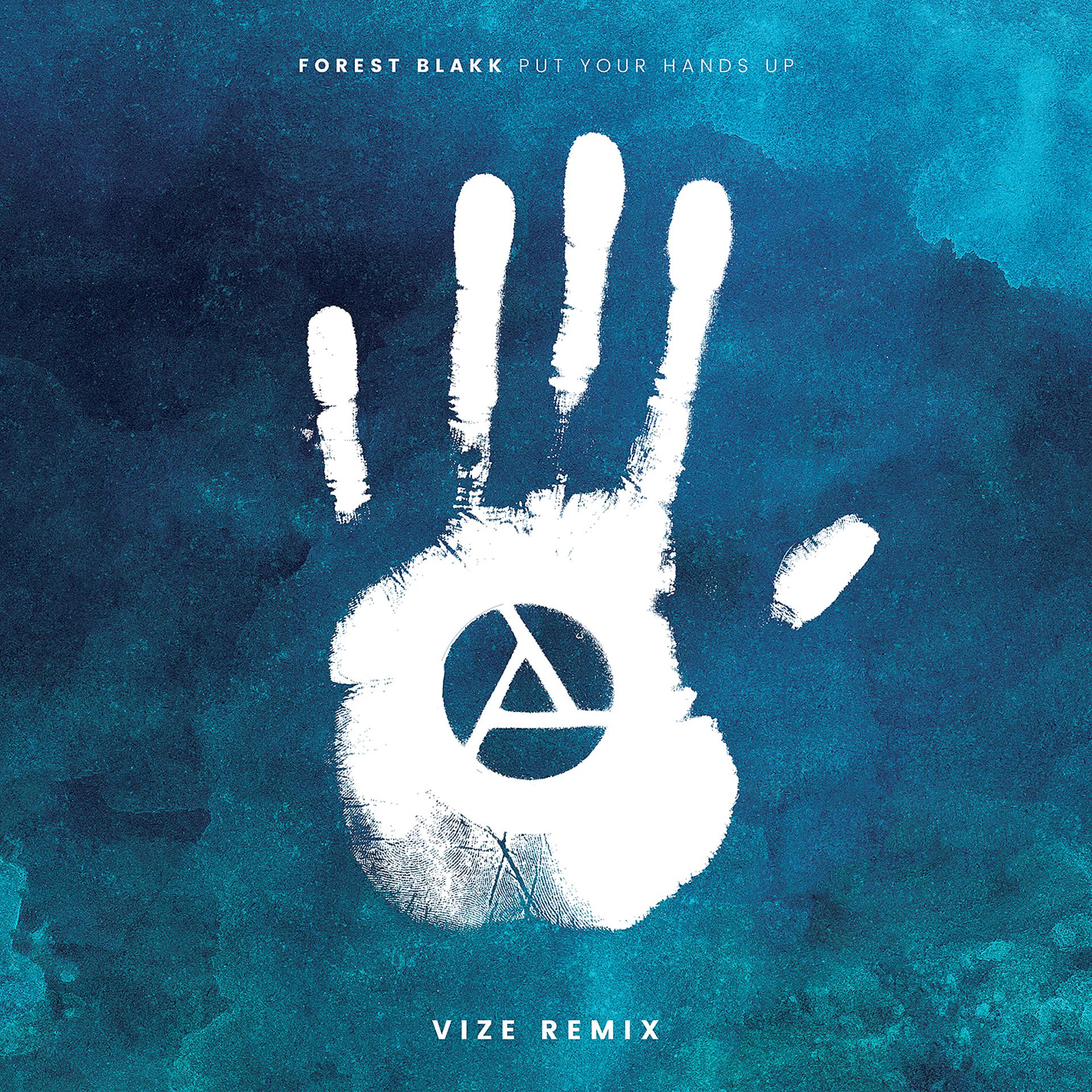 Постер альбома Put Your Hands Up (Vize Remix)