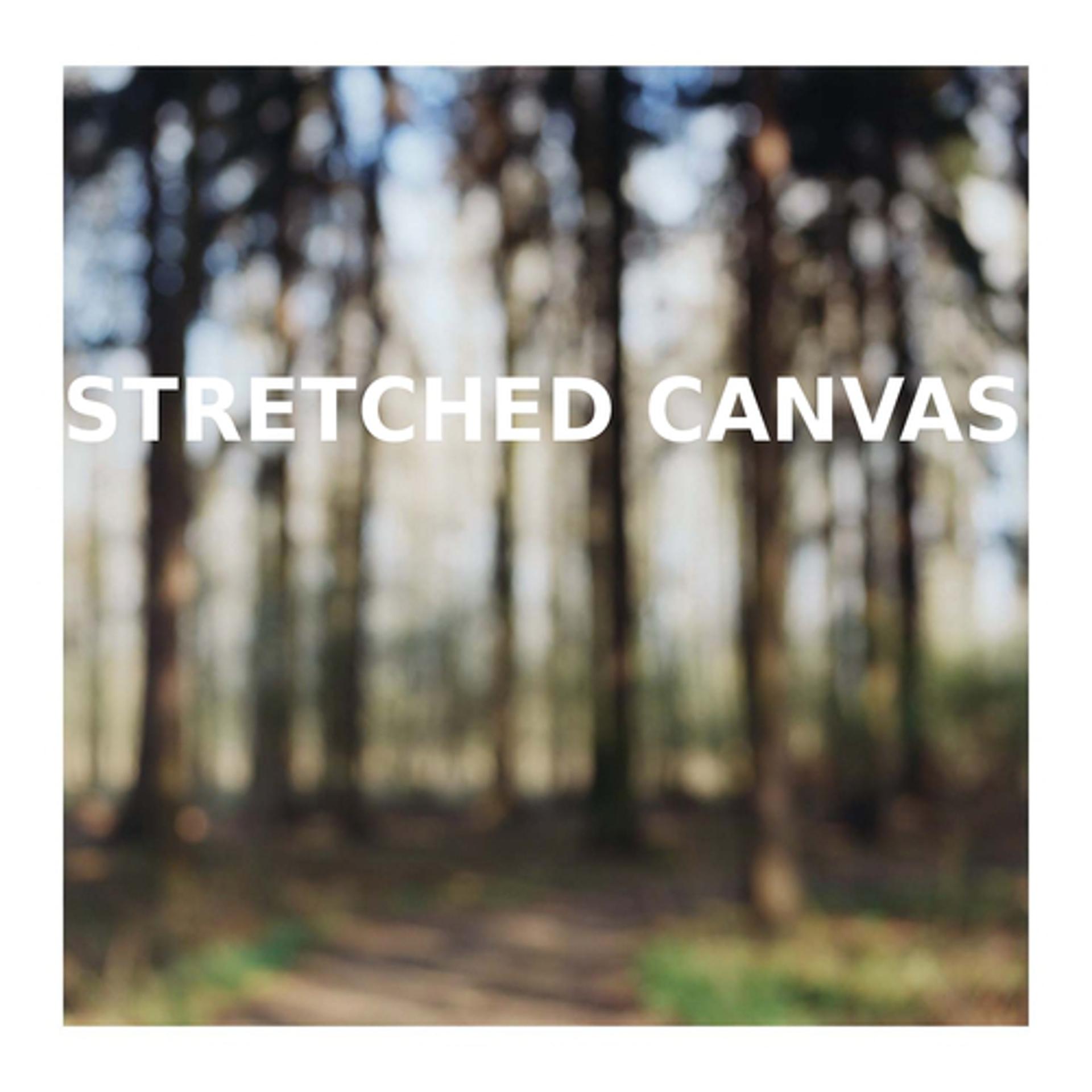 Постер альбома Stretched Canvas