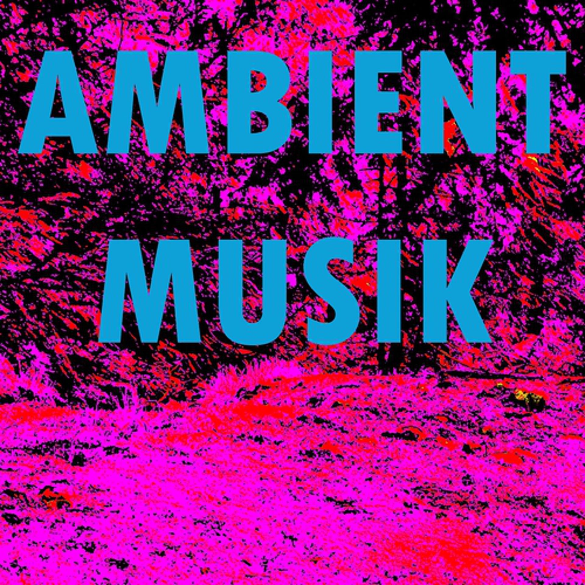 Постер альбома Ambient musik