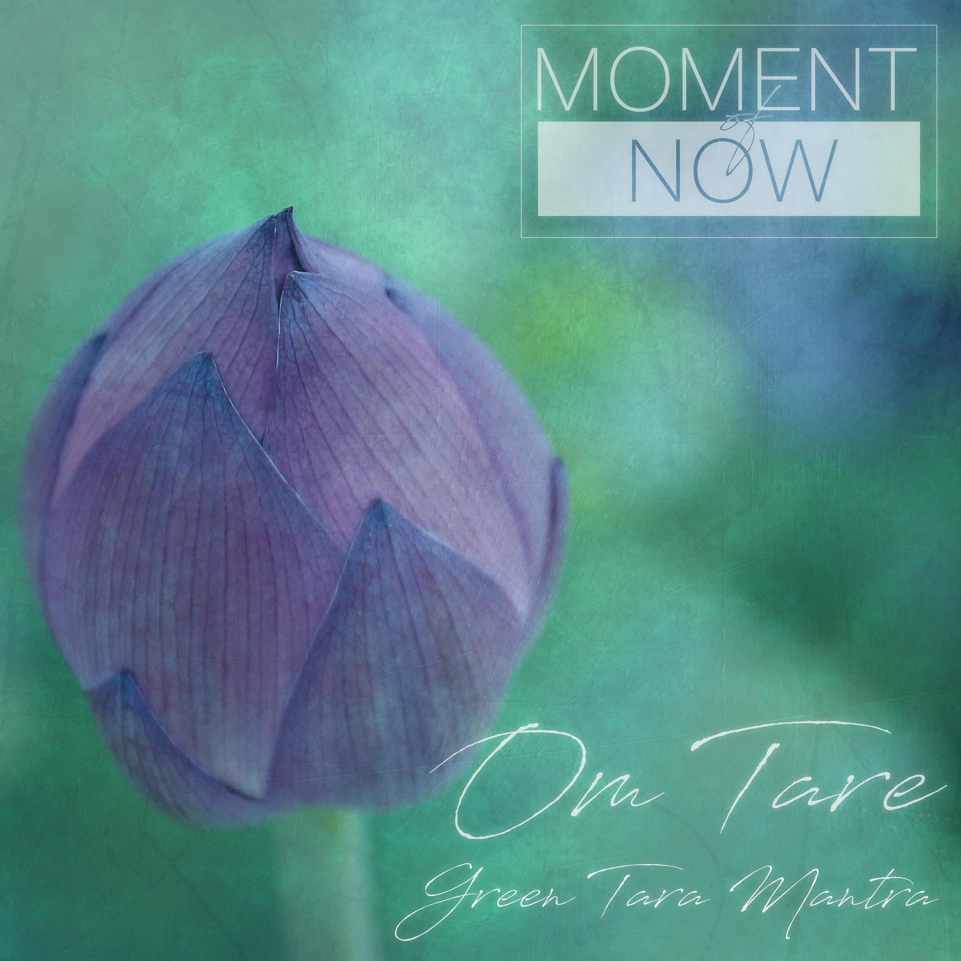 Постер альбома Om Tare (Green Tara Mantra)