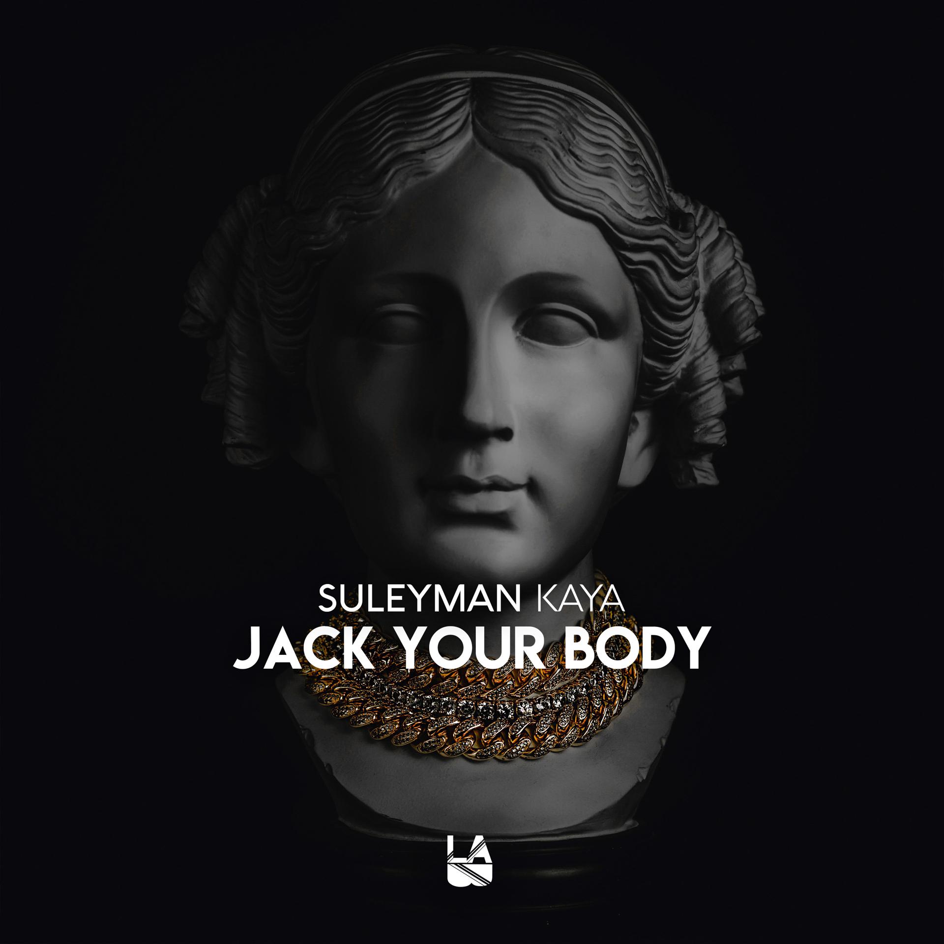 Постер альбома Jack Your Body