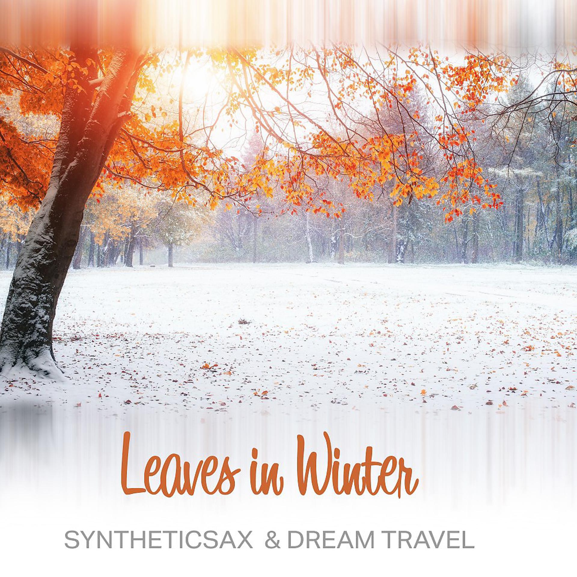 Постер альбома Leaves in Winter