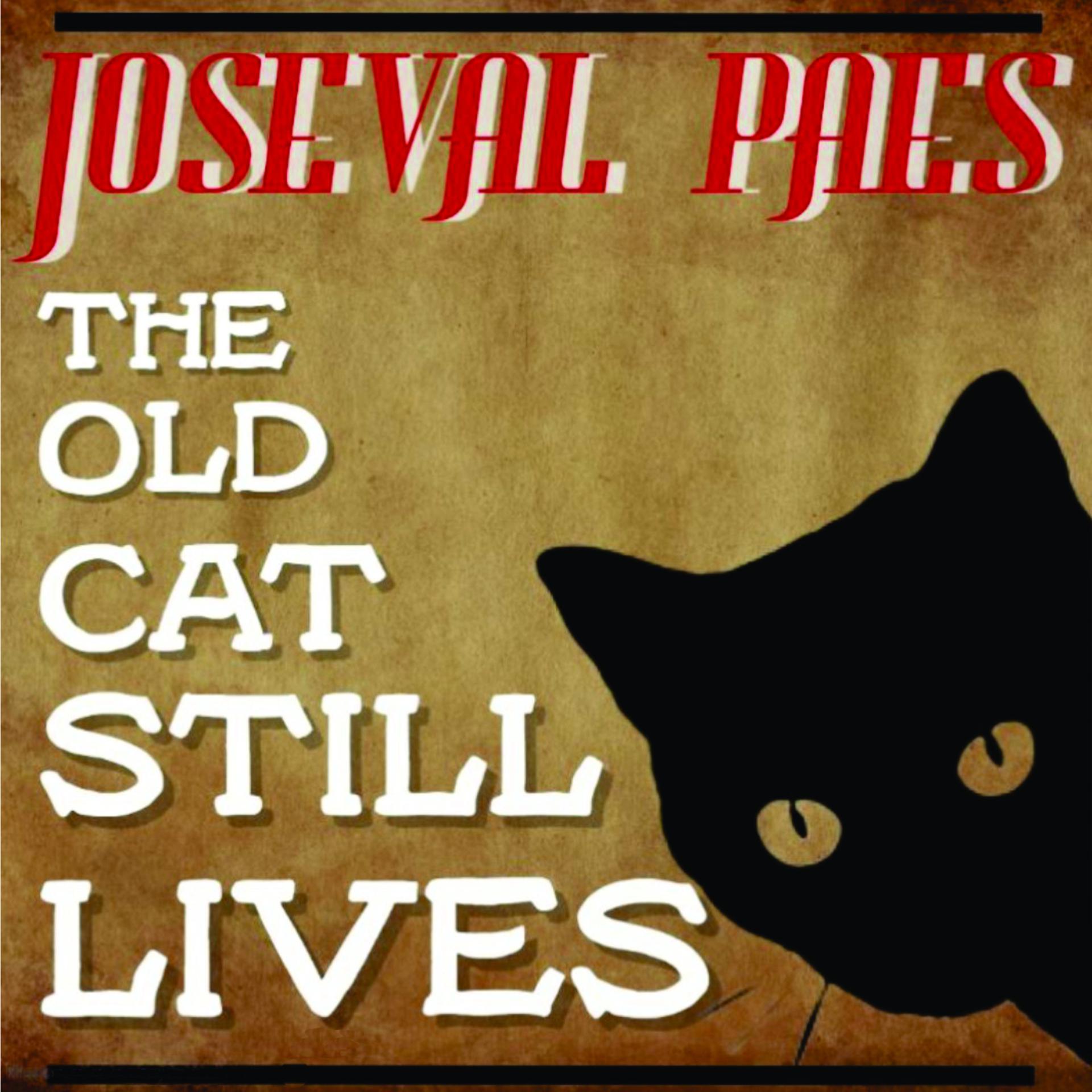 Постер альбома The Old Cat Still Lives
