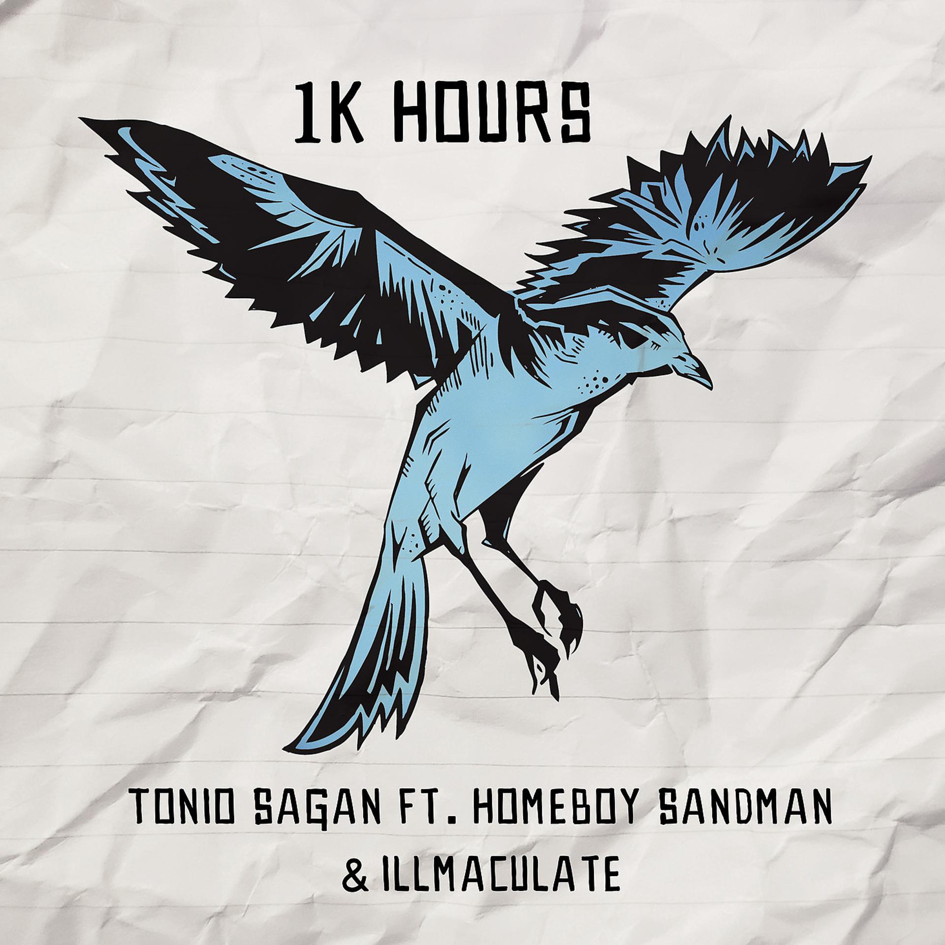 Постер альбома 1k Hours