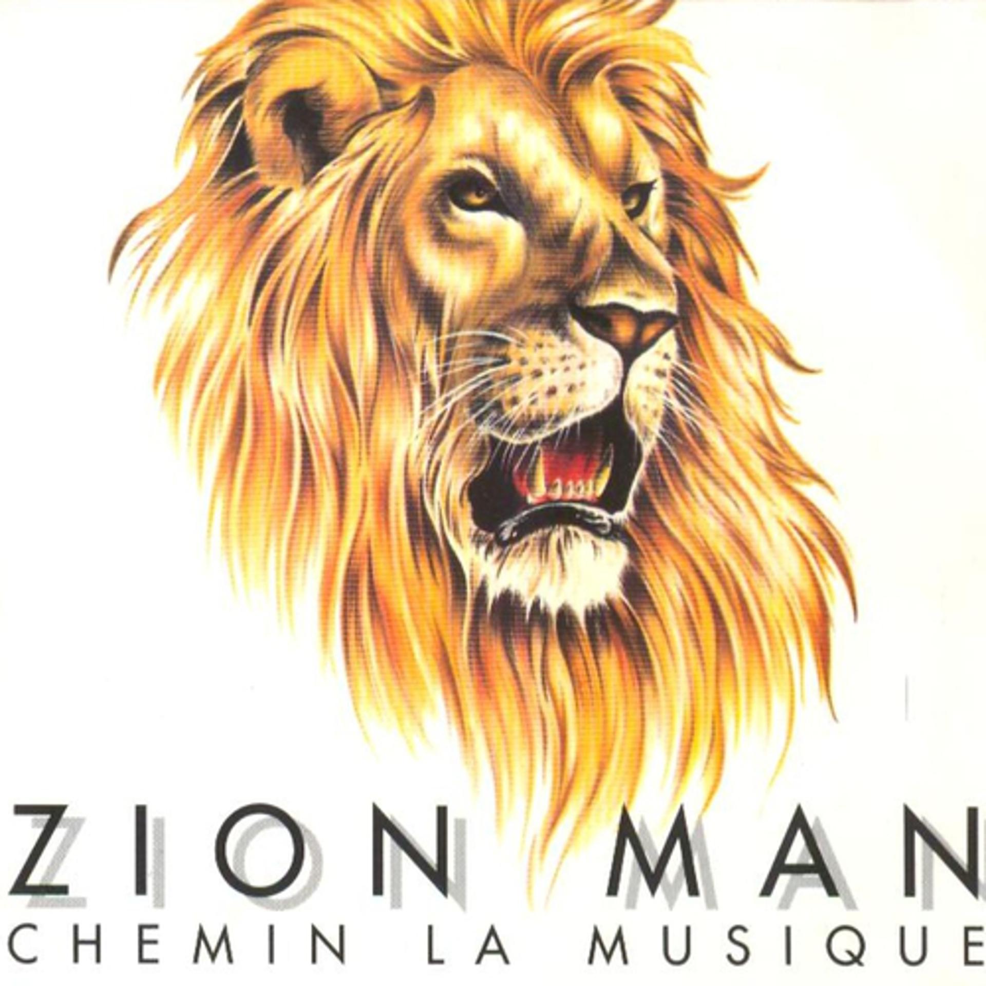 Постер альбома Chemin la musique