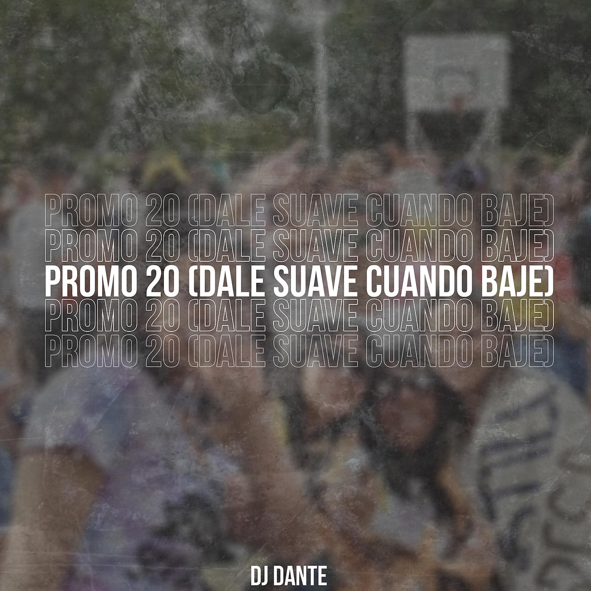 Постер альбома Promo 20 (Dale Suave Cuando Baje)