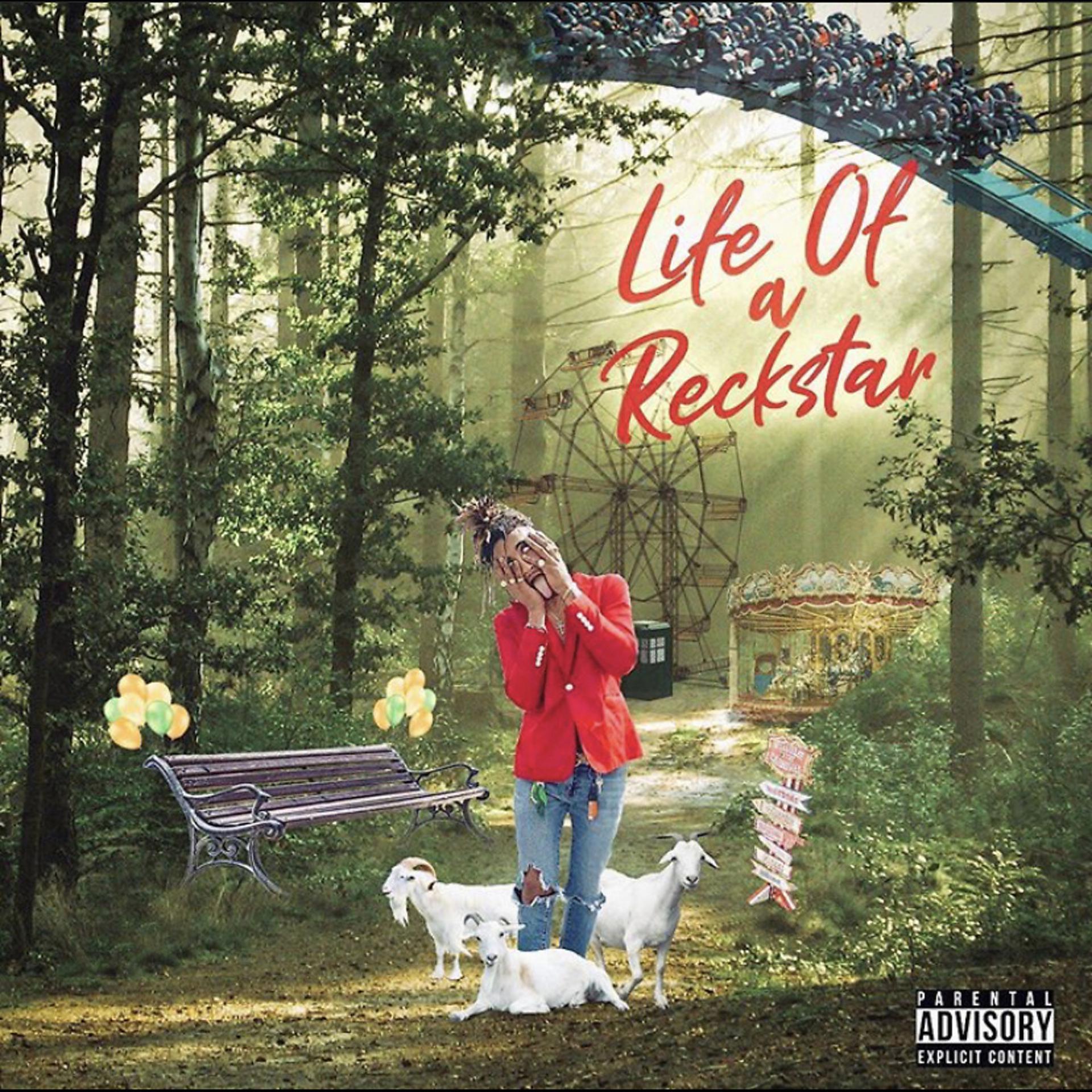 Постер альбома Life of a Reckstar