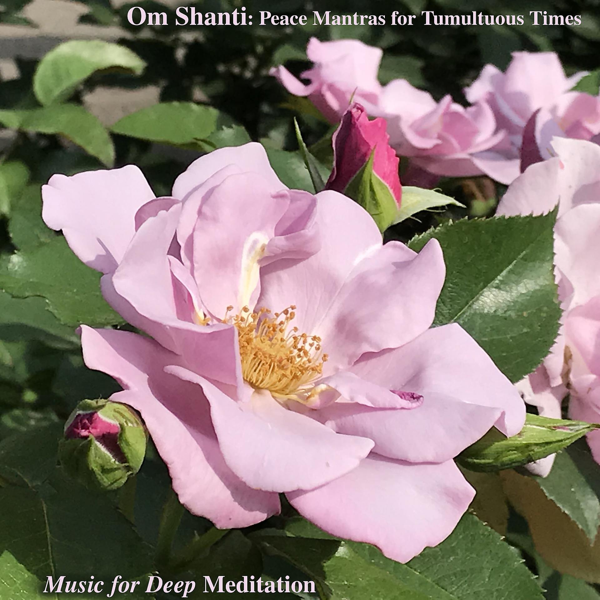 Постер альбома Om Shanti: Peace Mantras for Tumultuous Times