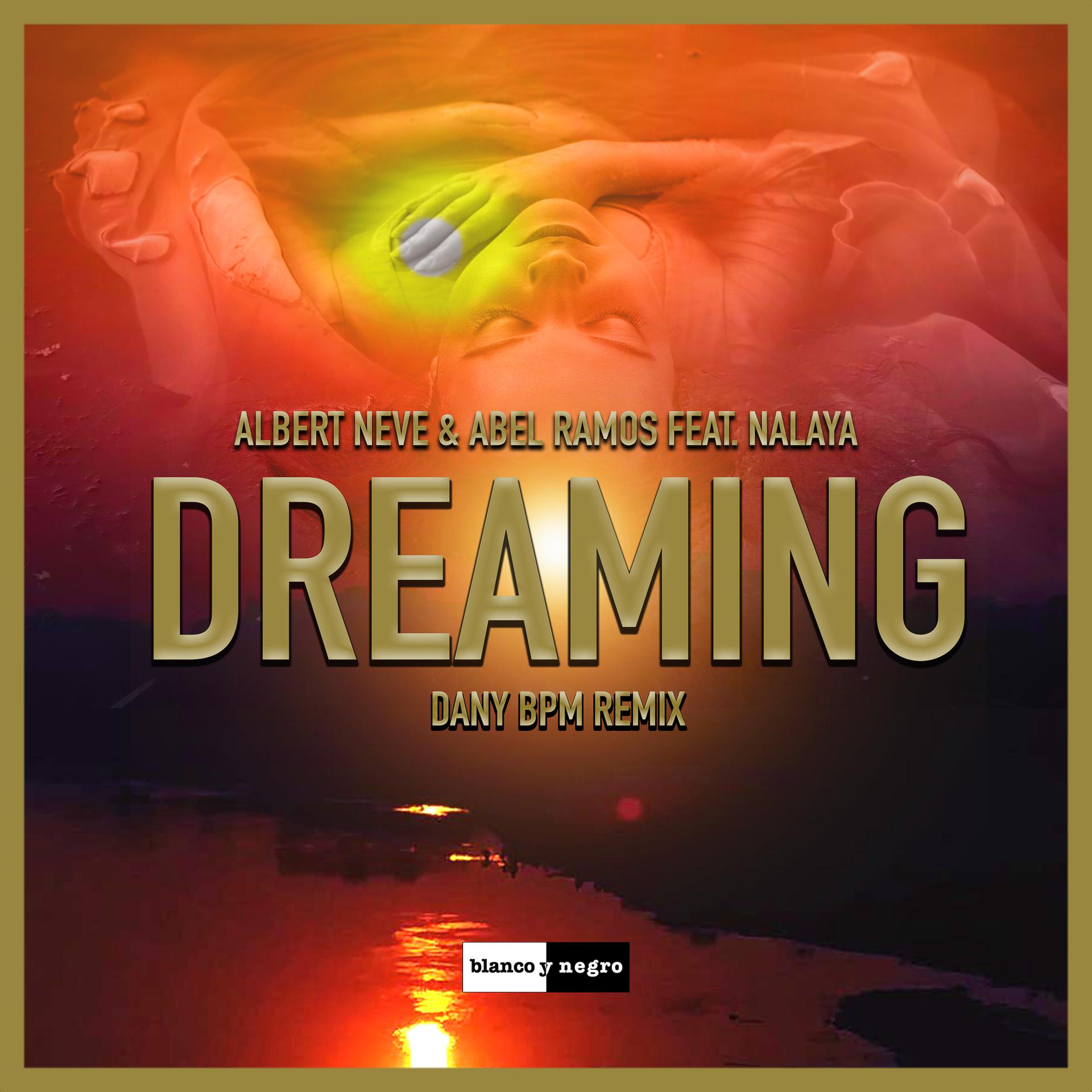 Постер альбома Dreaming (Dany BPM Remix)