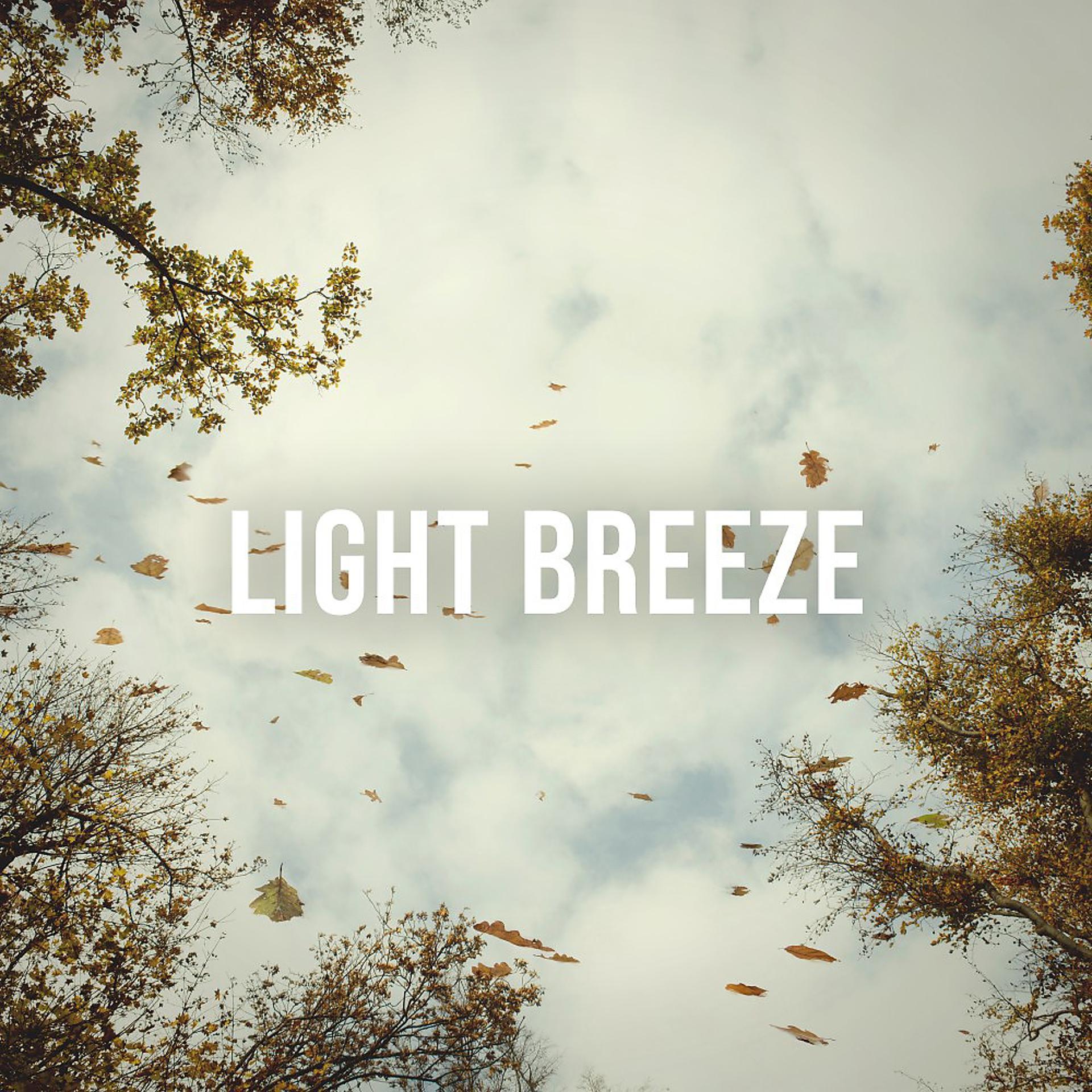 Постер альбома Light Breeze: Enjoy the Sound of a Light Wind as It Whistles Through the Forest