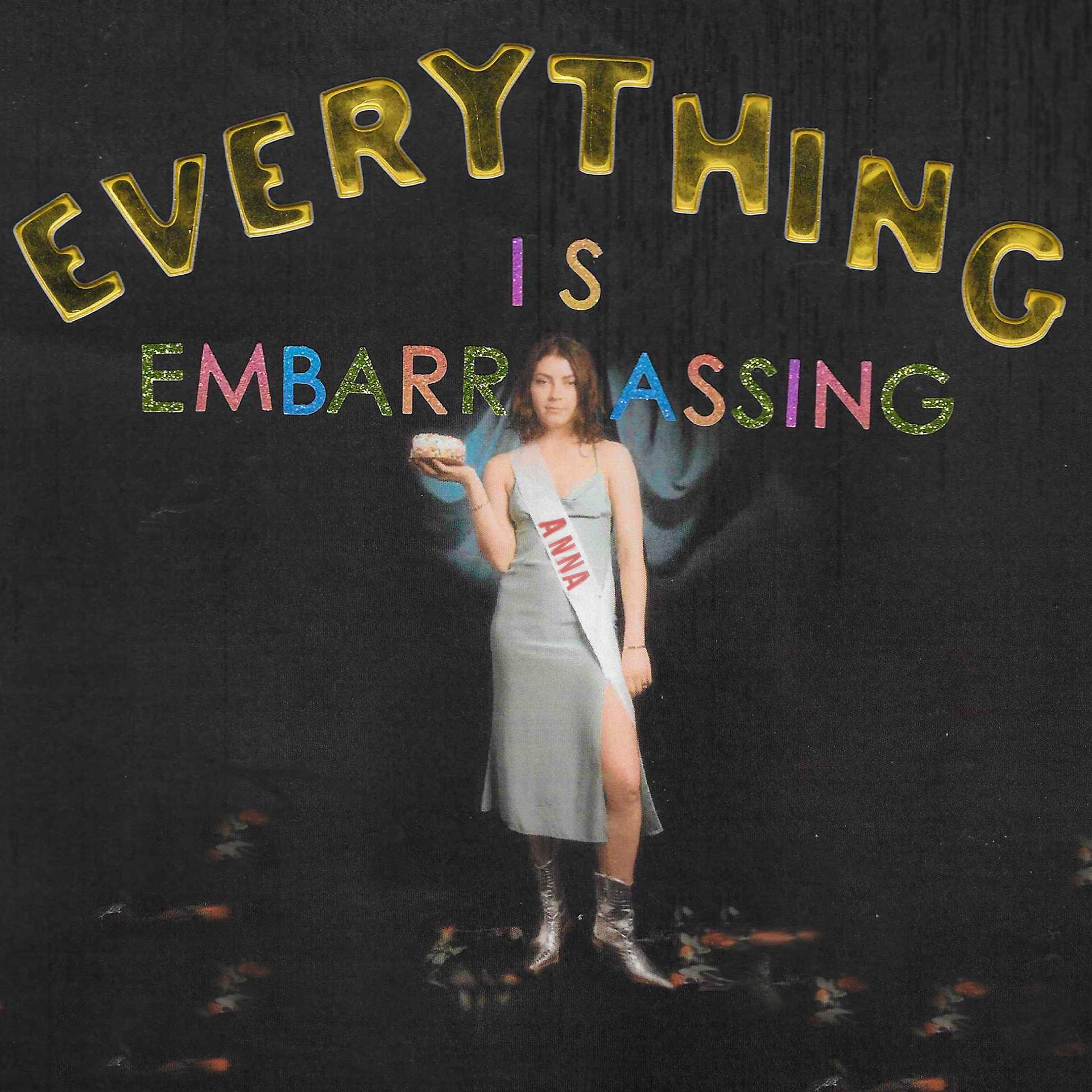 Постер альбома Everything Is Embarrassing