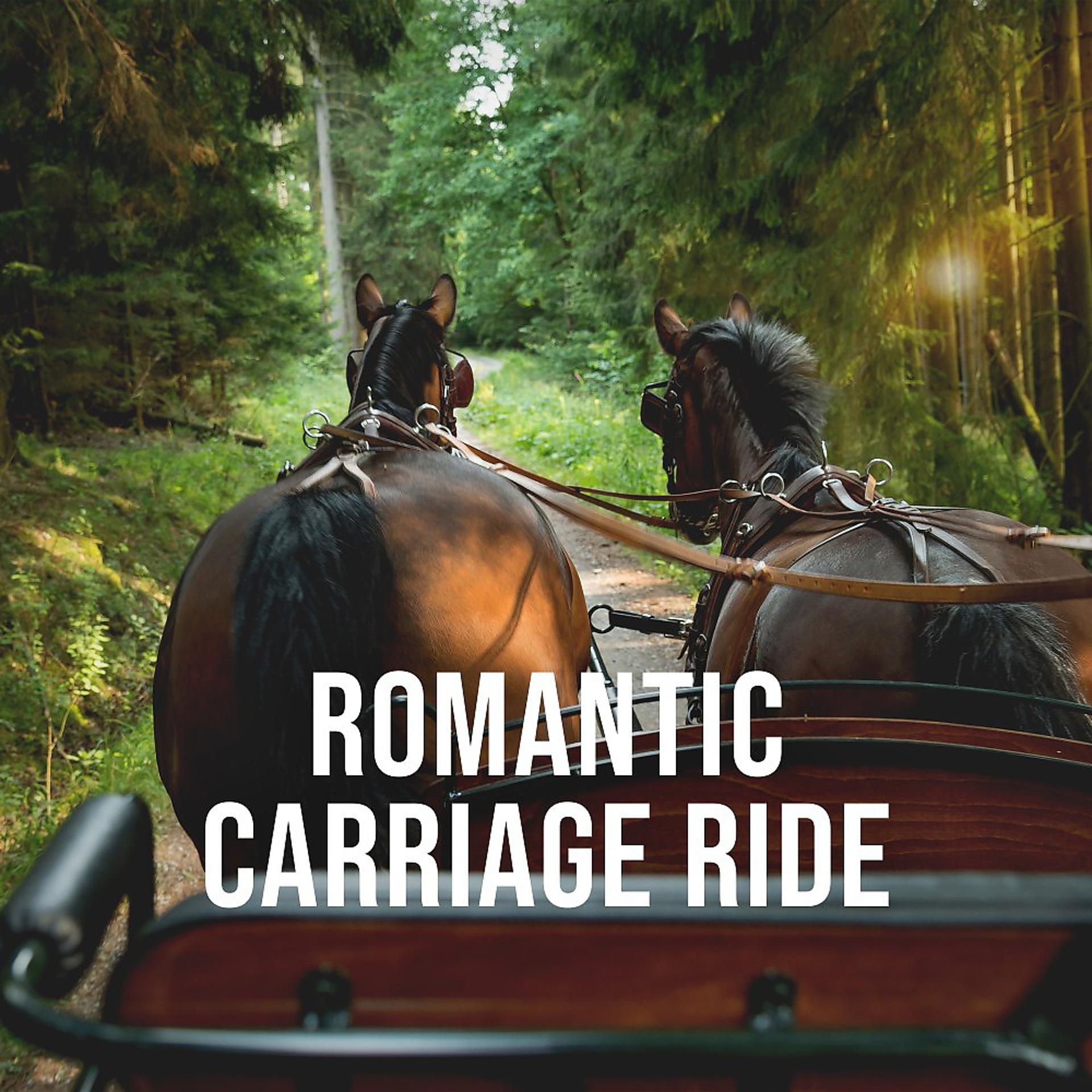 Постер альбома Romantic Carriage Ride: Enjoy a Nostalgic Journey Through Provence, White Noise for the Imagination