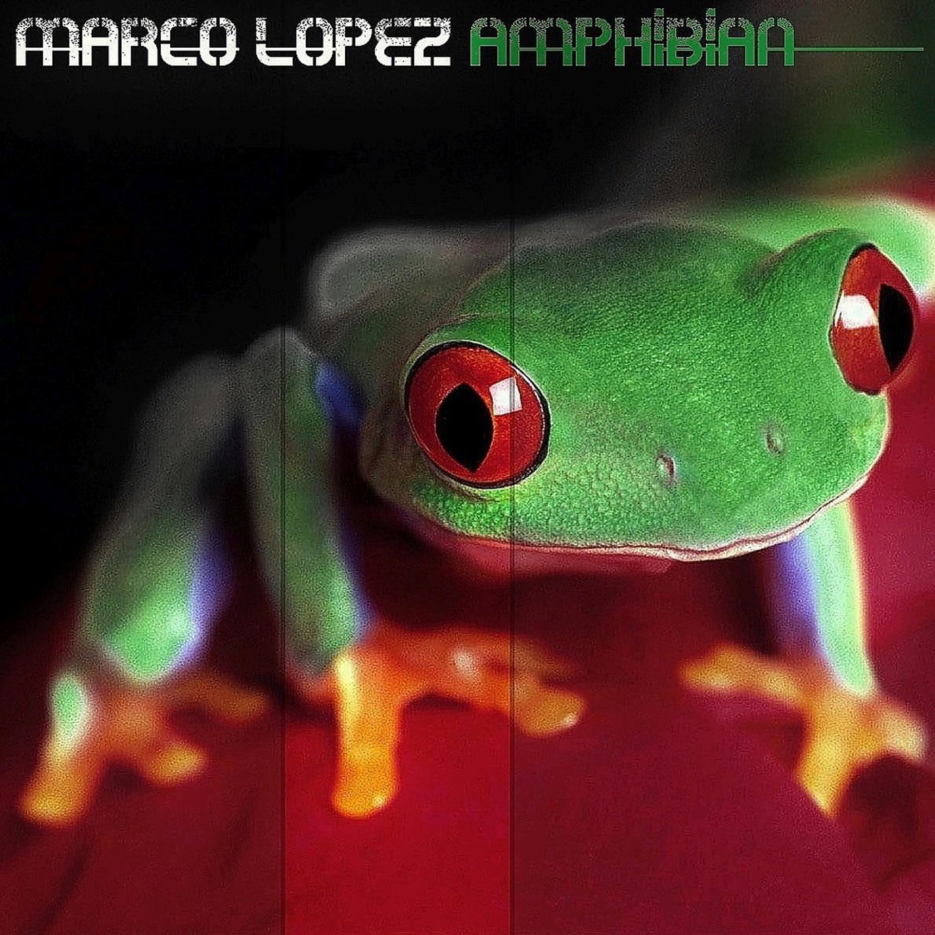 Постер альбома Amphibian