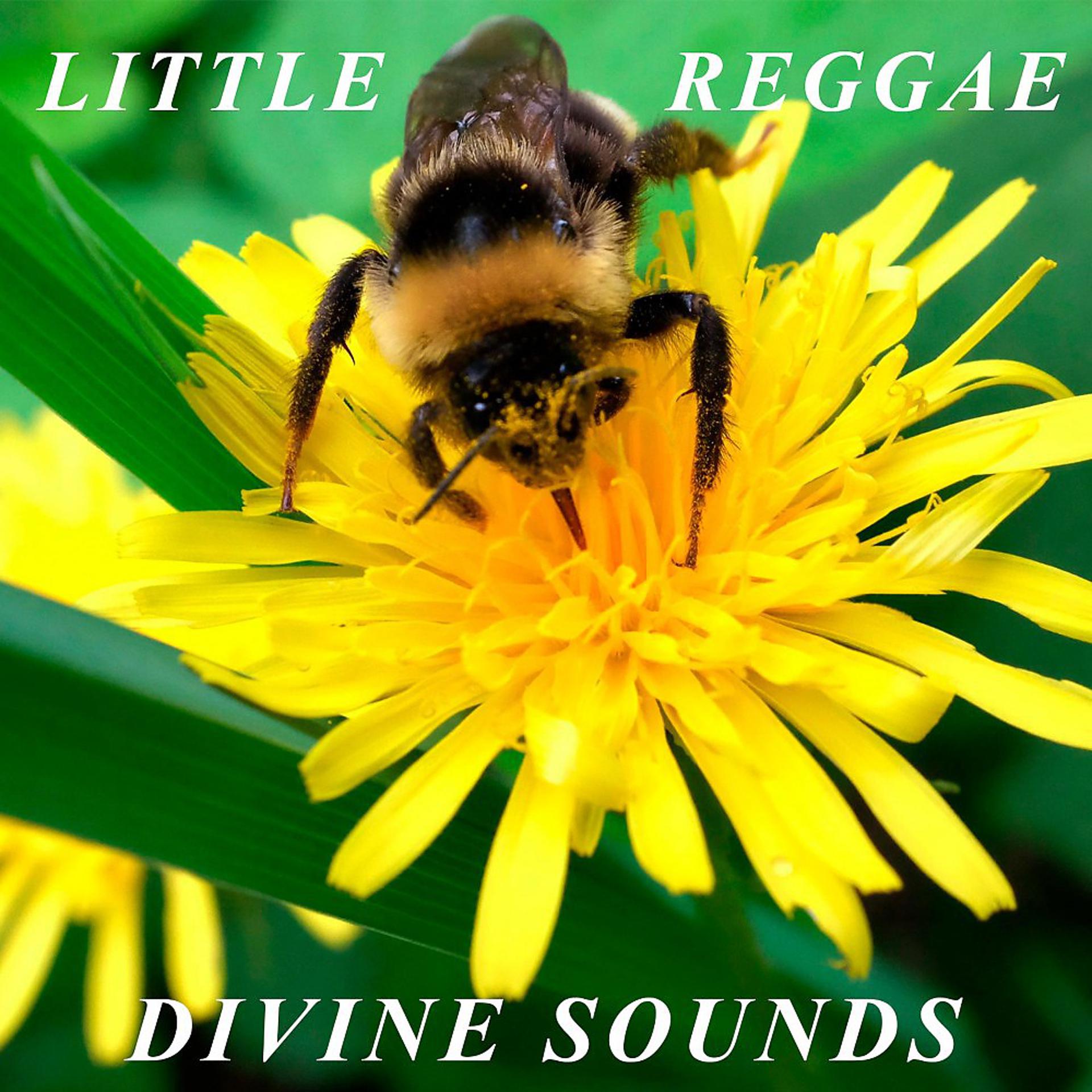 Постер альбома Little Reggae