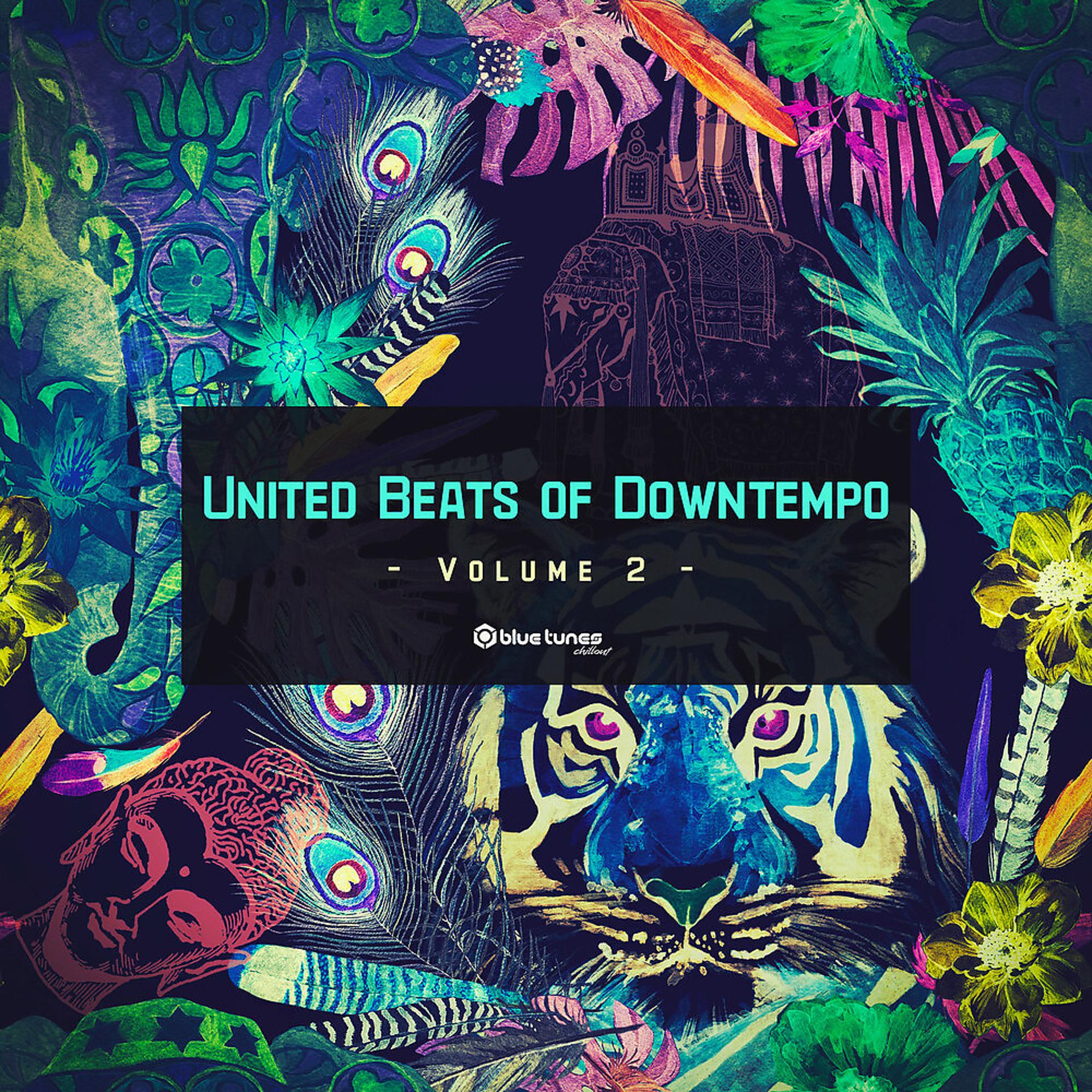 Постер альбома United Beats of Downtempo, Vol. 2