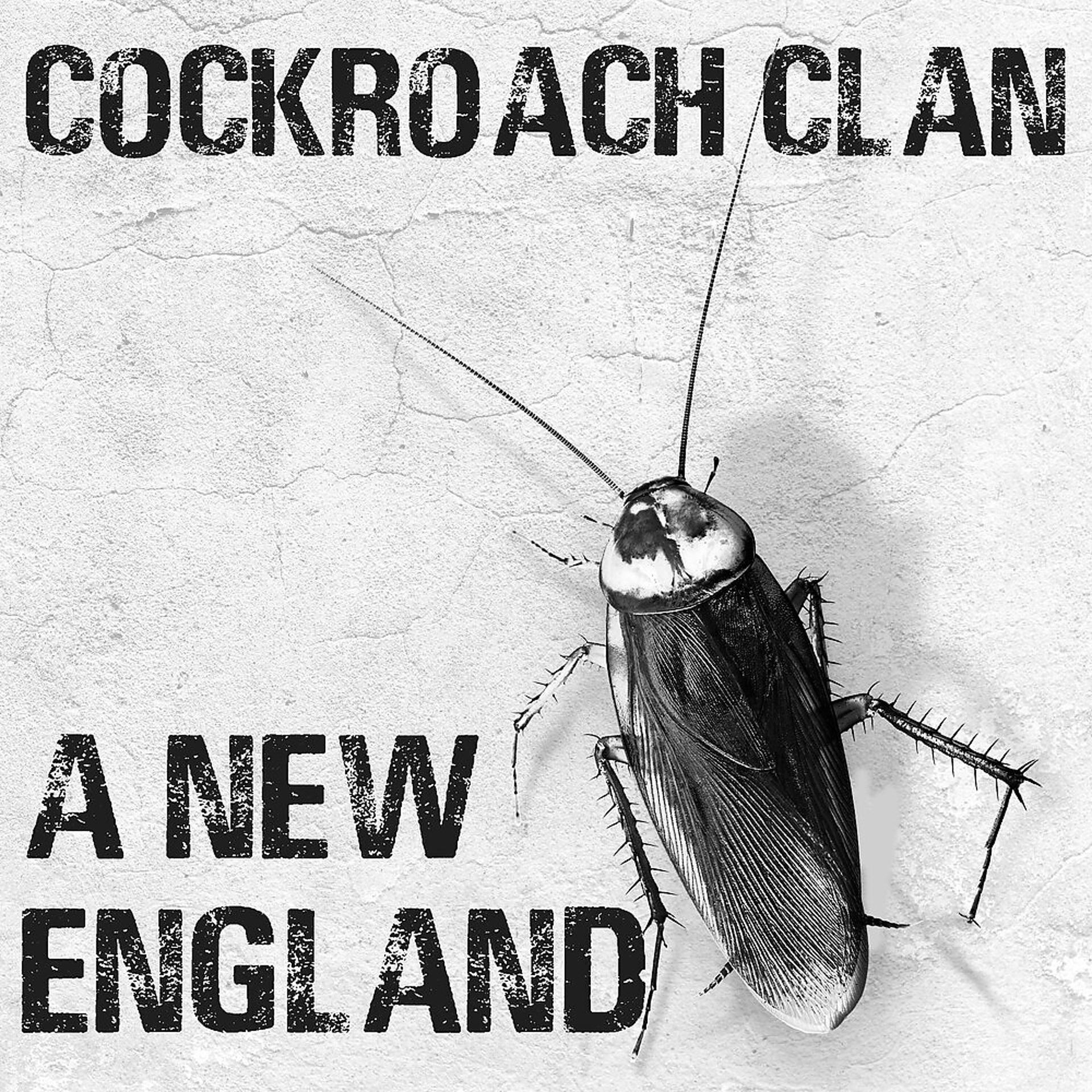 Постер альбома A New England