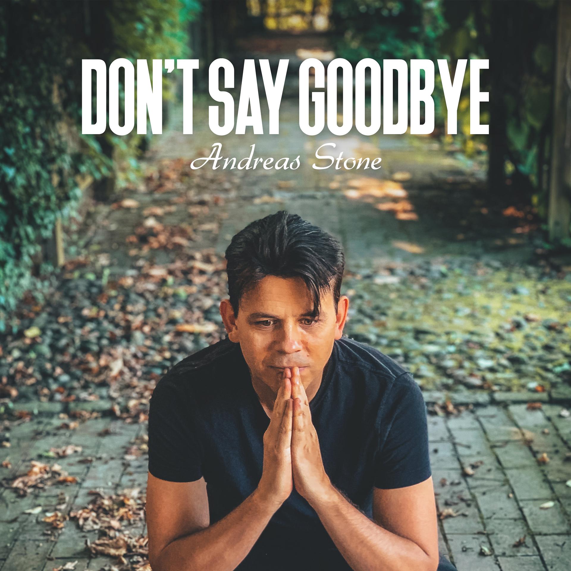 Постер альбома Don't Say Goodbye