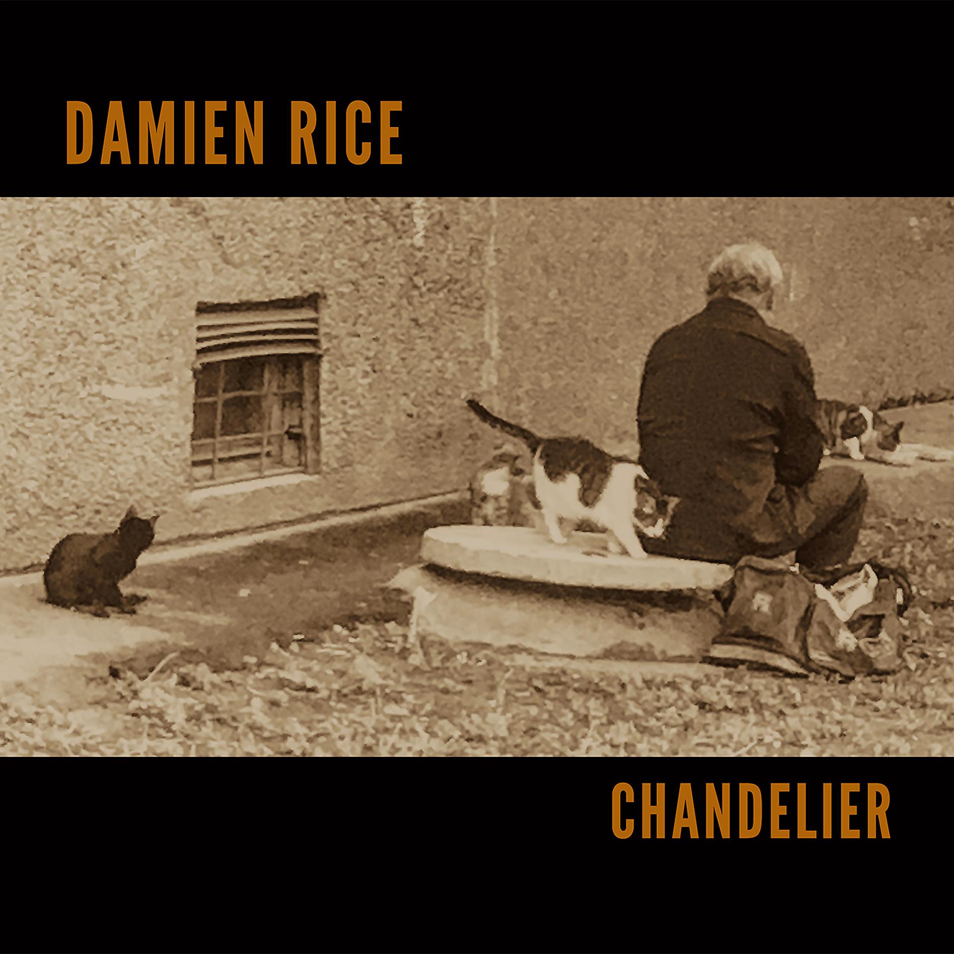 Постер к треку Damien Rice - Chandelier