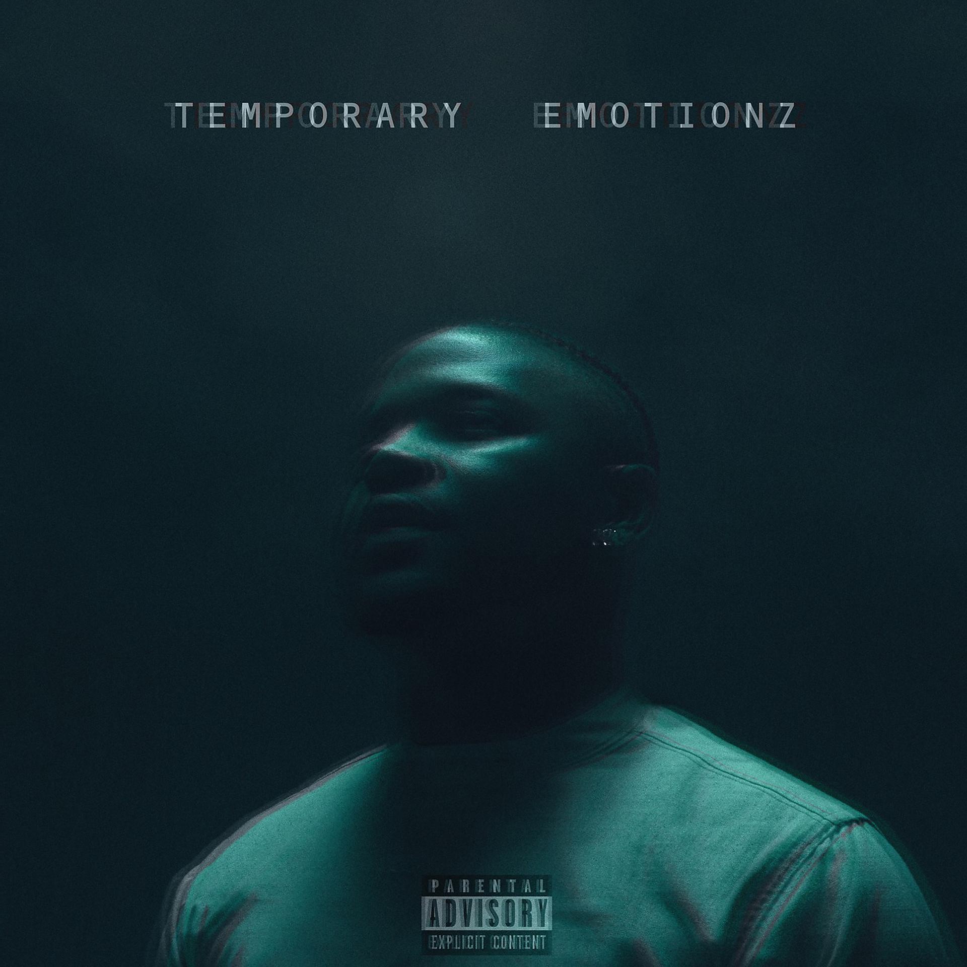 Постер альбома Temporary EmotionZ