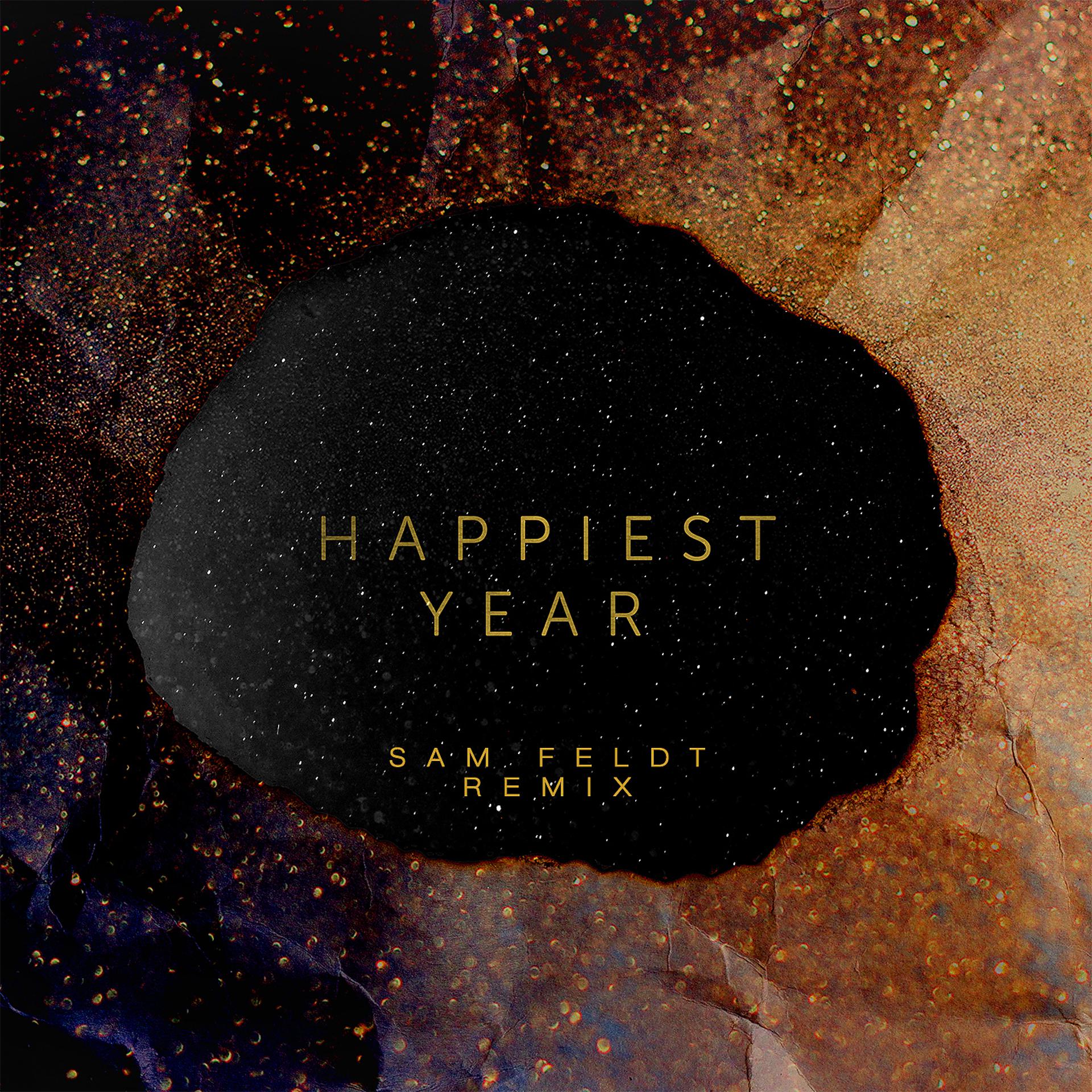 Постер альбома Happiest Year (Sam Feldt Remix)