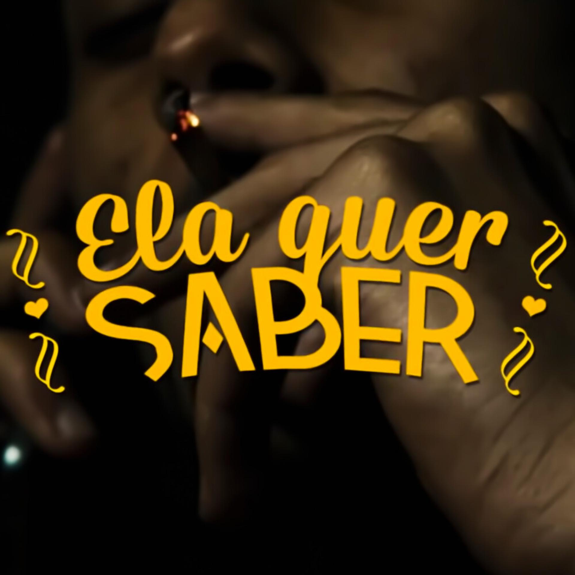 Постер альбома Ela Quer Saber