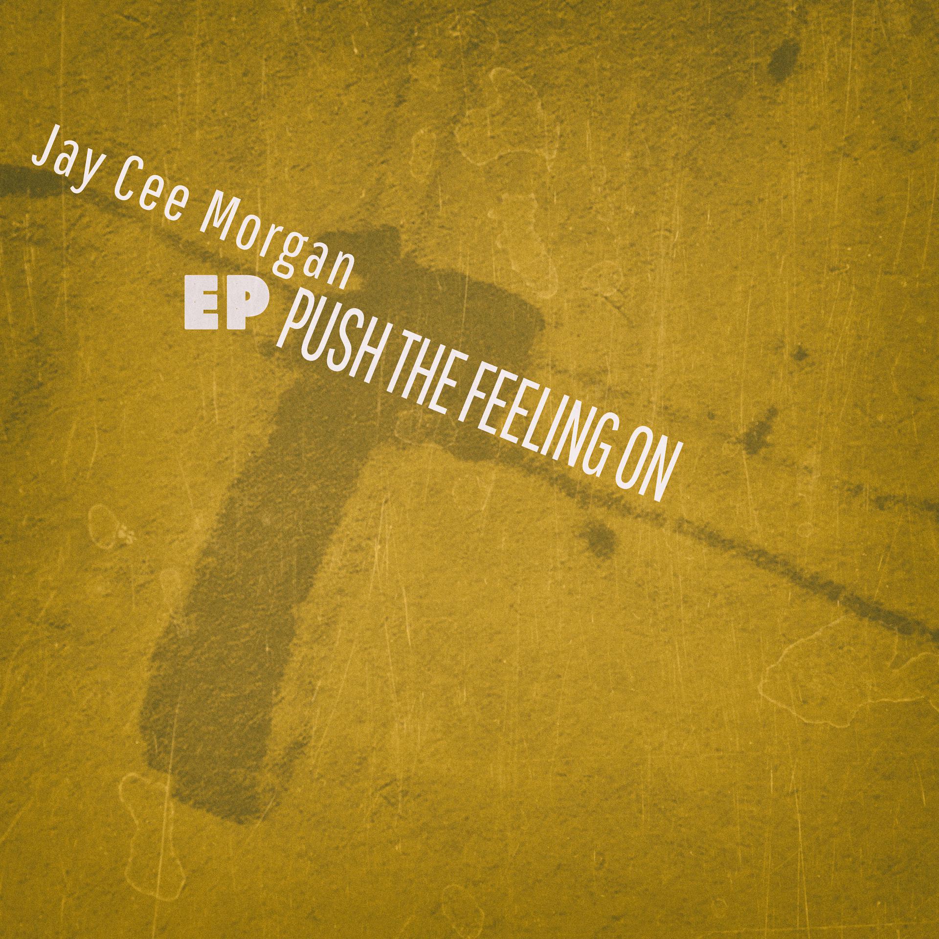 Постер альбома Push the Feeling On - EP