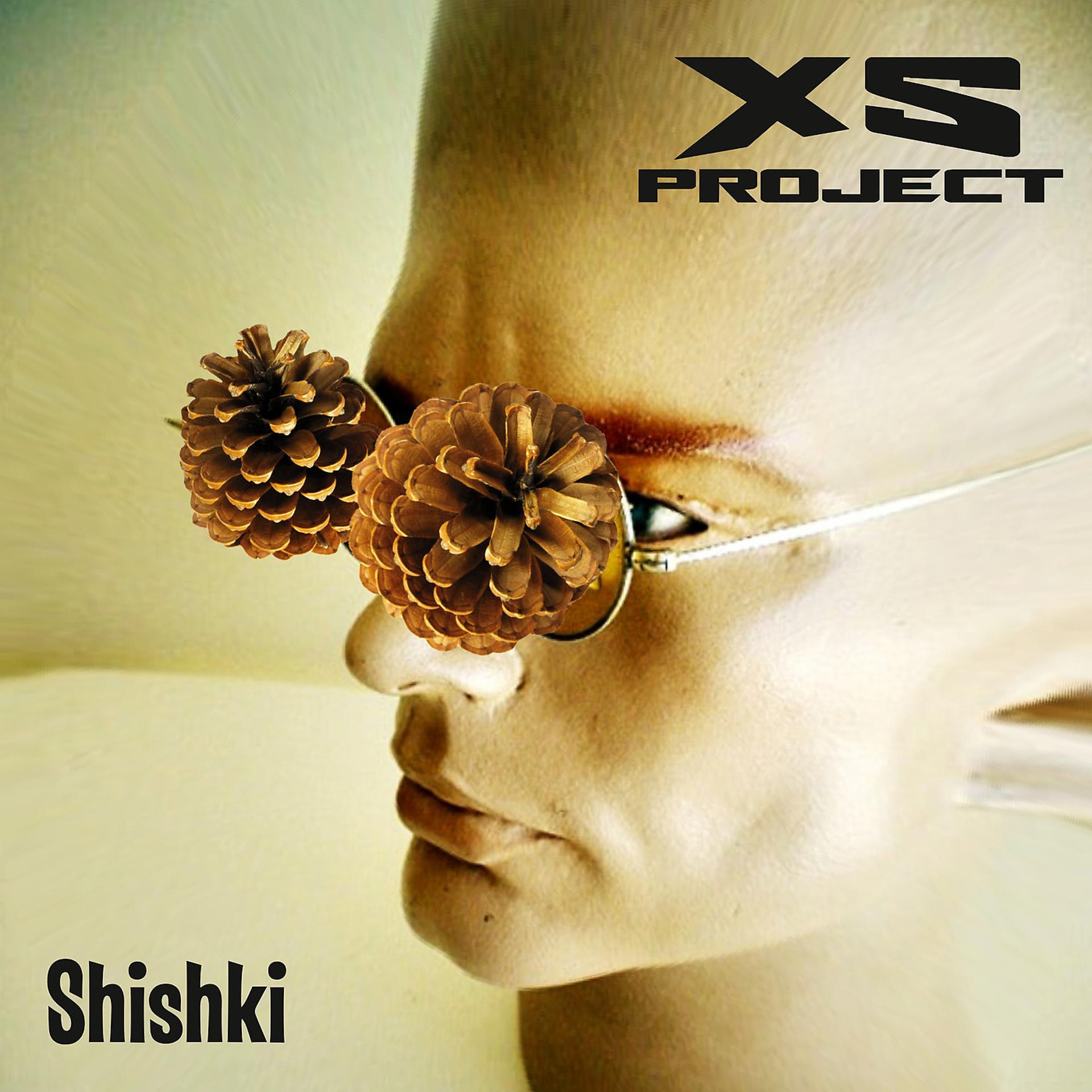 Постер альбома Shishki