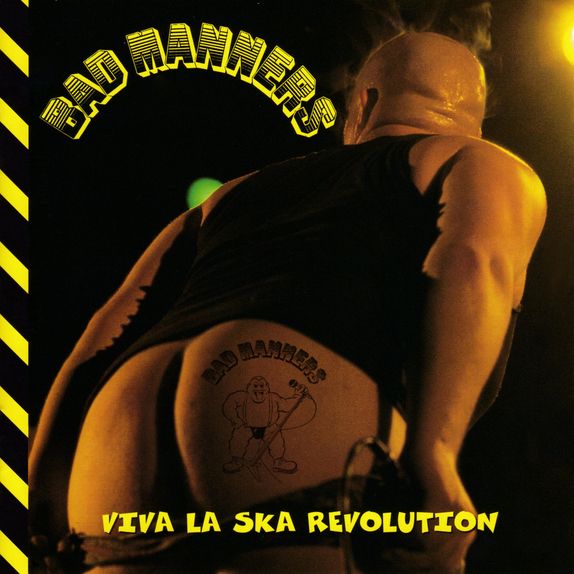 Постер альбома Viva La Ska Revolution