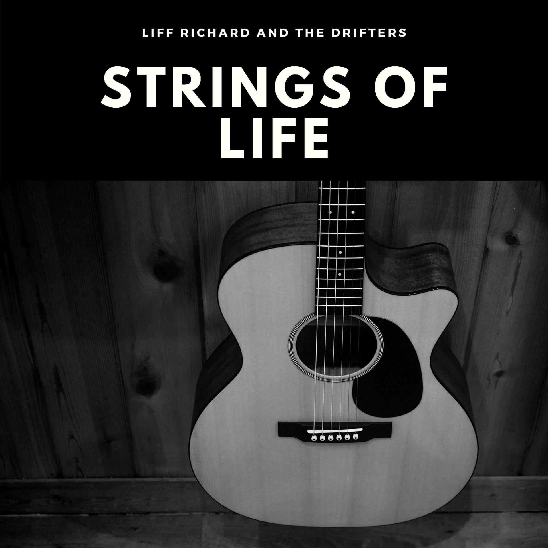Постер альбома Strings of Life