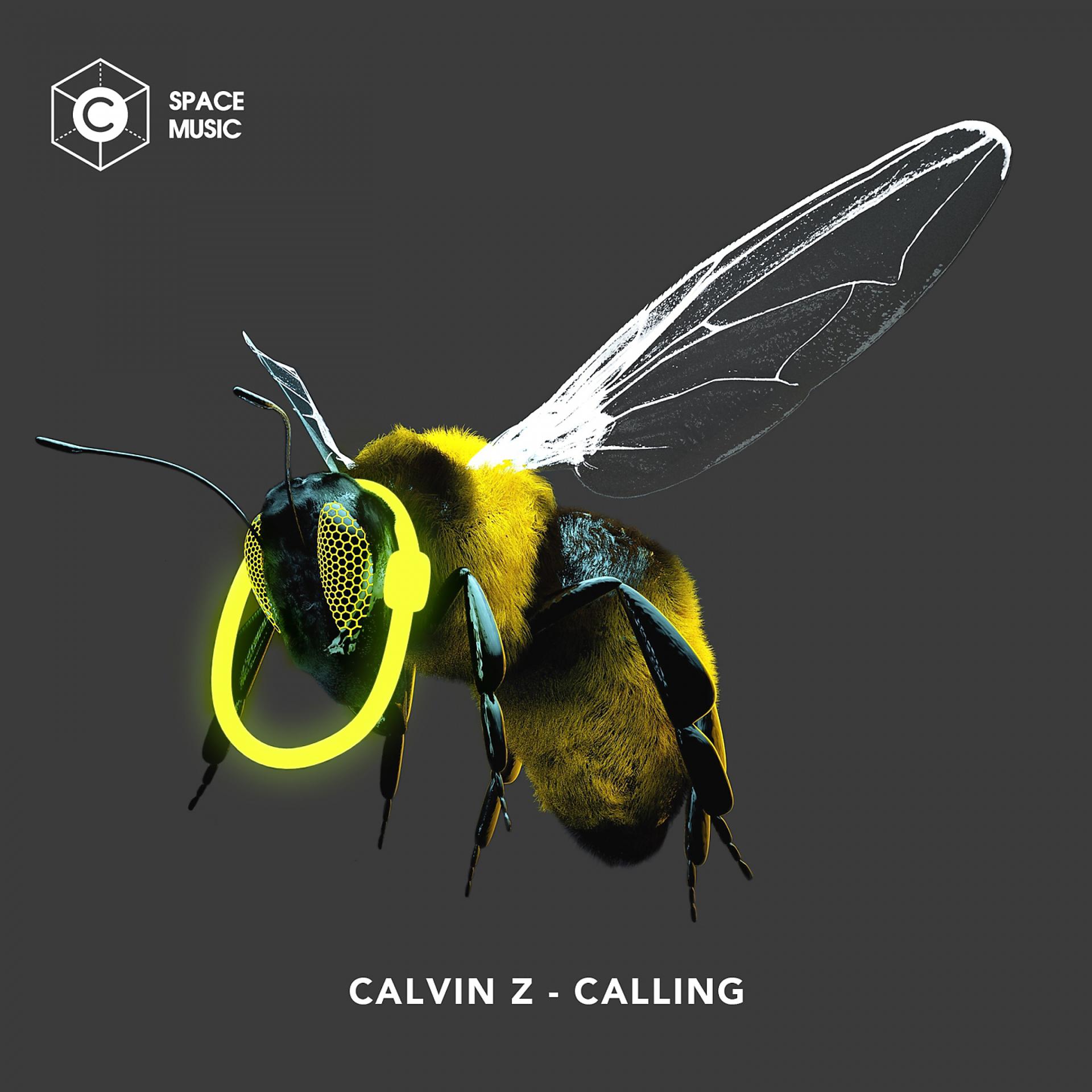 Постер альбома Calling (Original Mix)