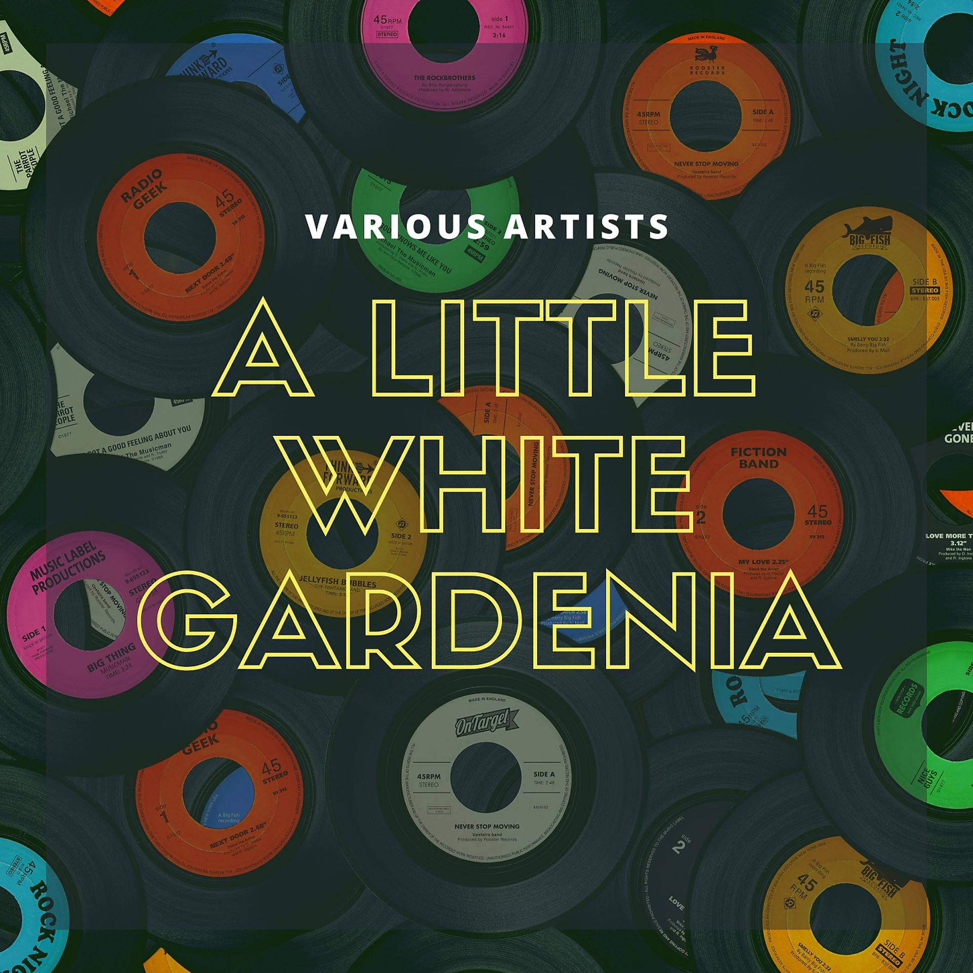 Постер альбома A Little White Gardenia