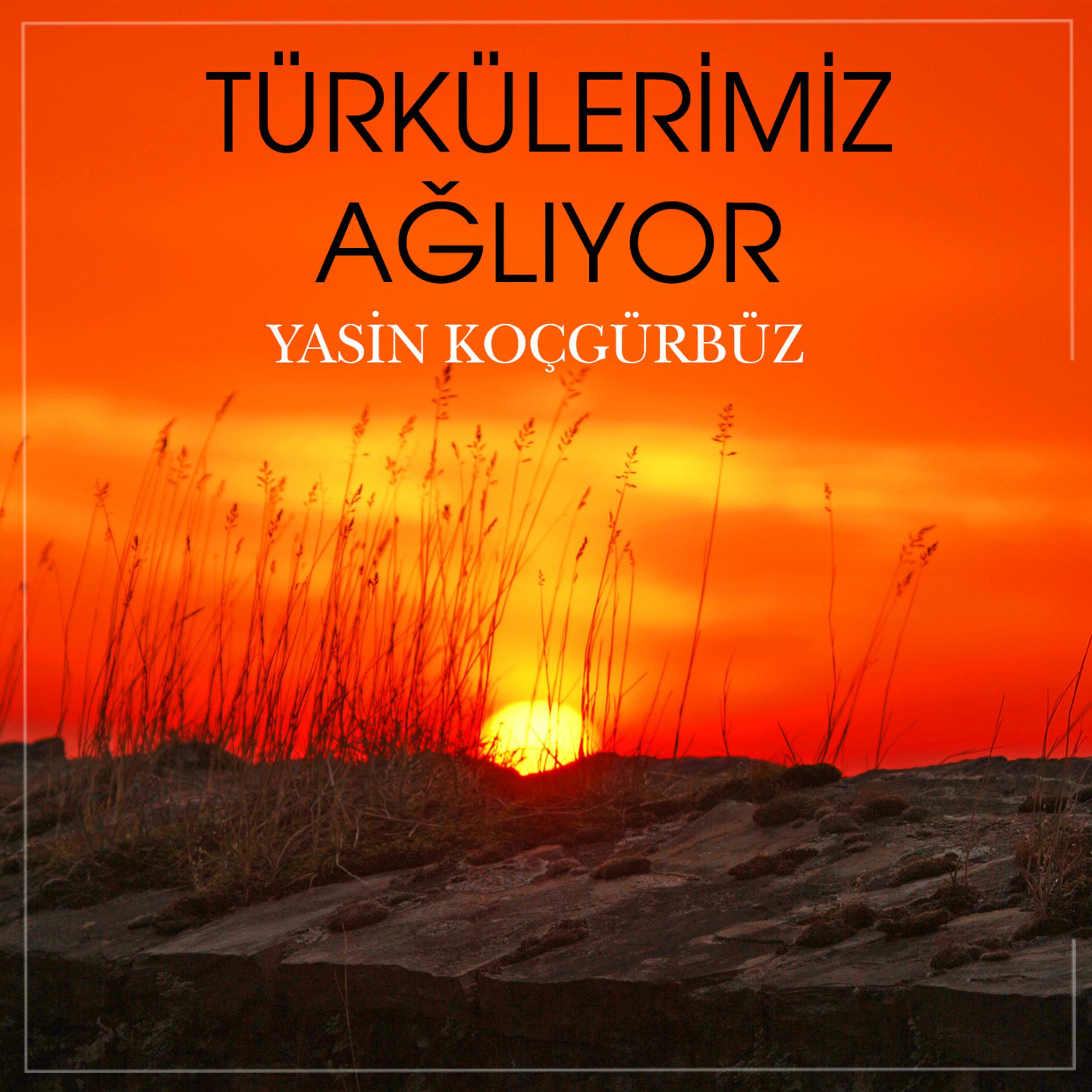 Постер альбома Türkülerimiz Ağlıyor