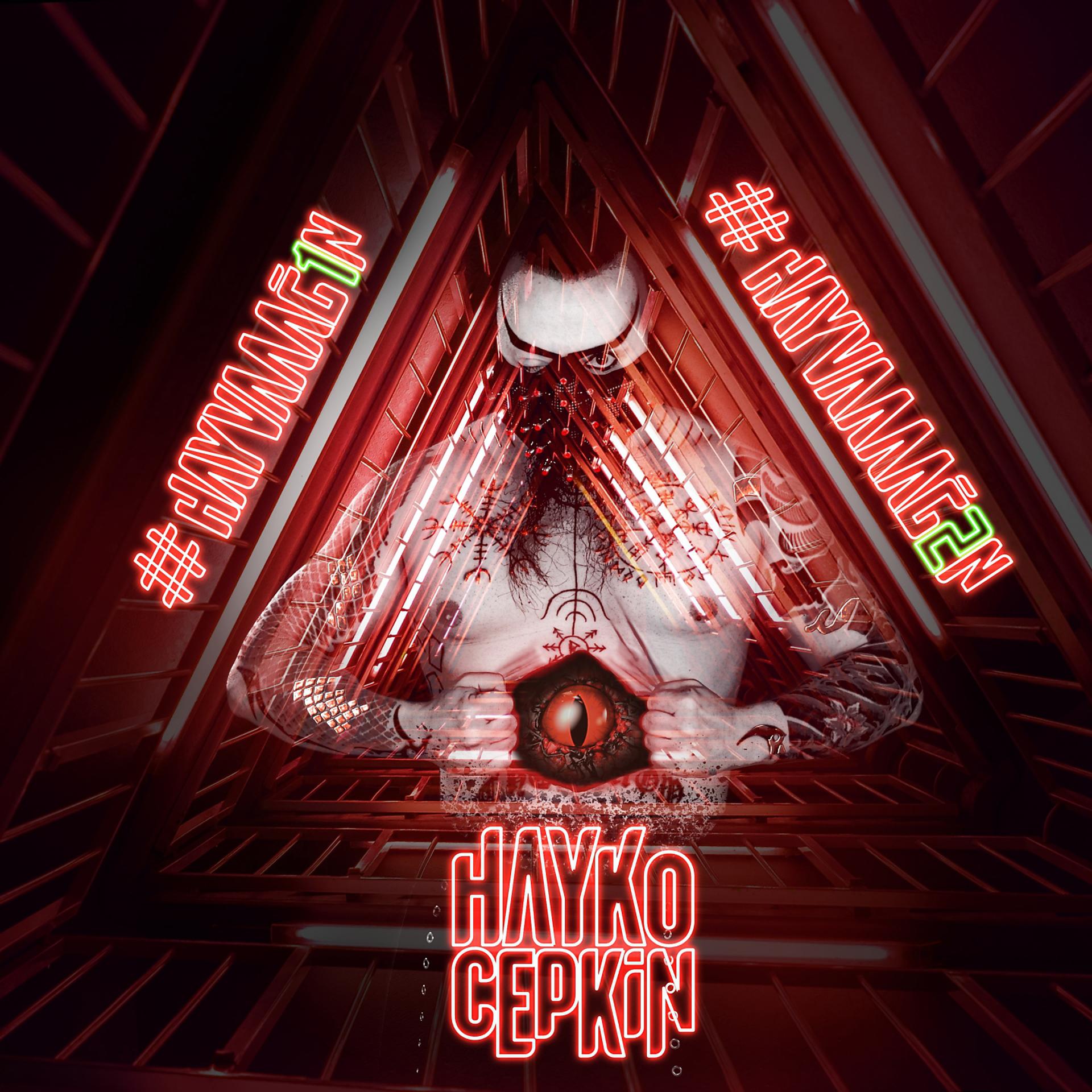 Постер альбома Hayvaaağ1n