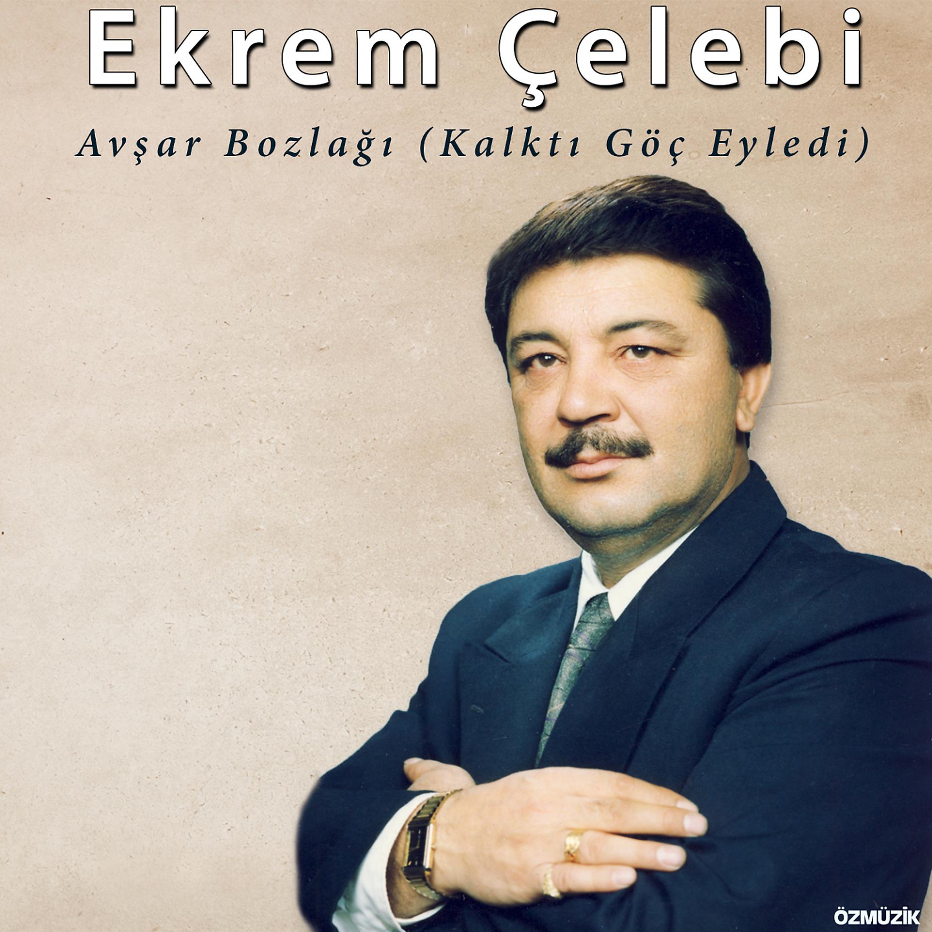 Постер альбома Avşar Bozlağı