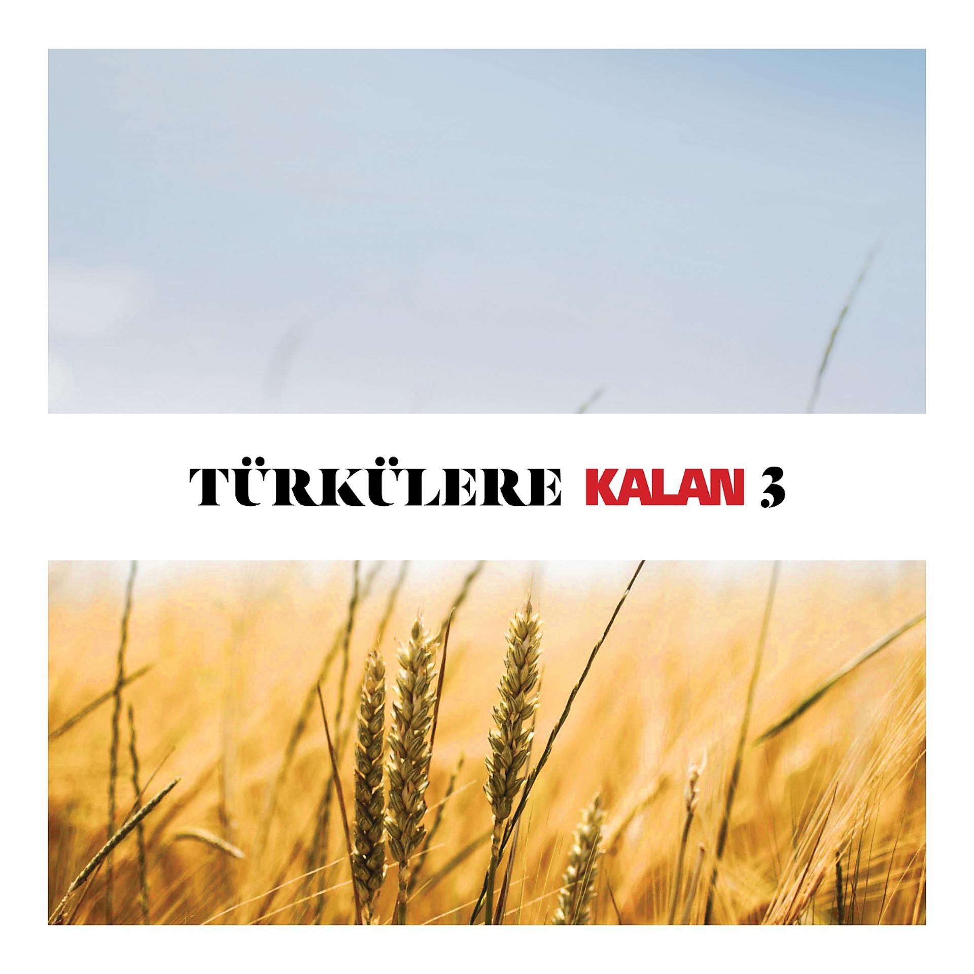 Постер альбома Türkülere Kalan, Vol. 3