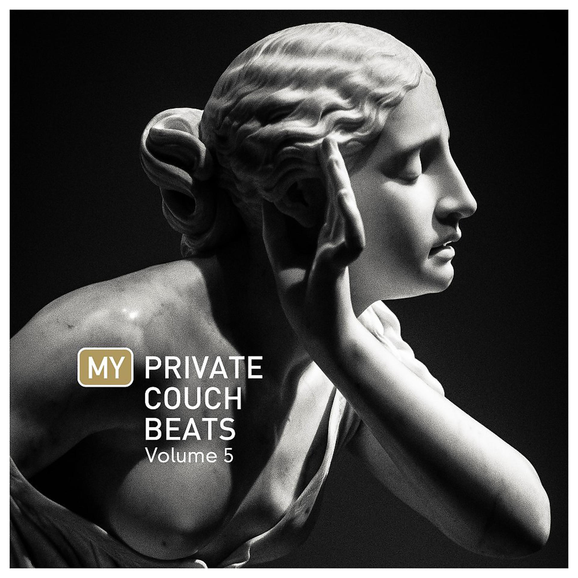 Постер альбома My Private Couch Beats, Vol. 5
