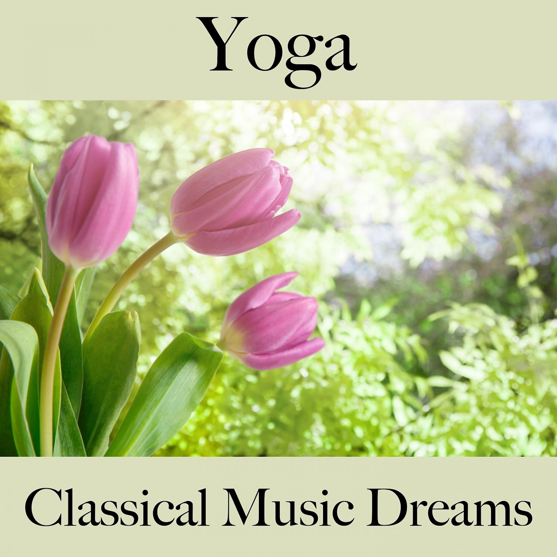 Постер альбома Yoga: Classical Music Dreams - Die Beste Musik Zum Entspannen