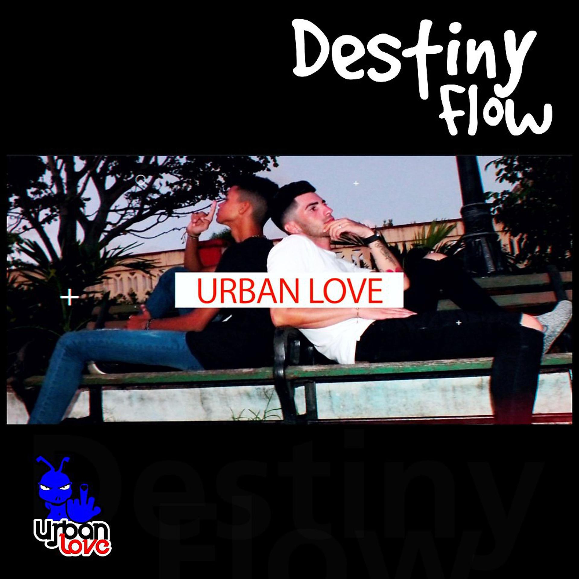 Постер альбома Destiny Flow